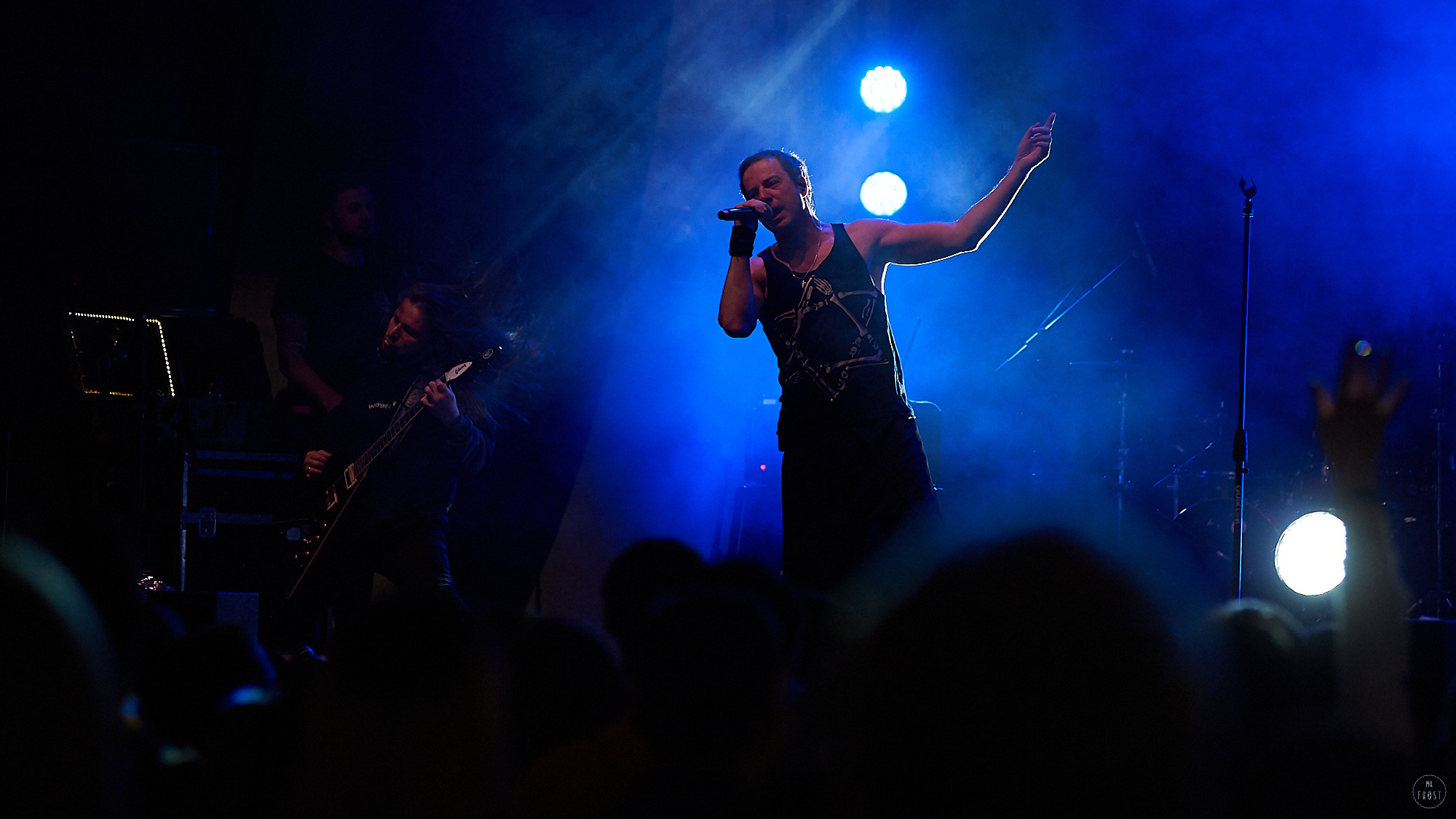 Animal ДжаZ. Фотографии отовсюду и обо всем