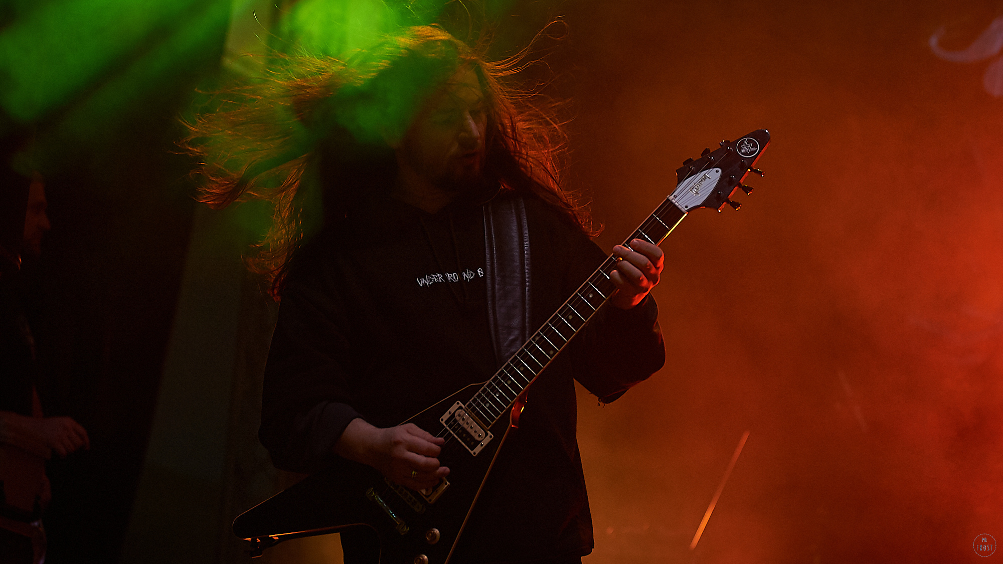 Animal ДжаZ. Фотографии отовсюду и обо всем