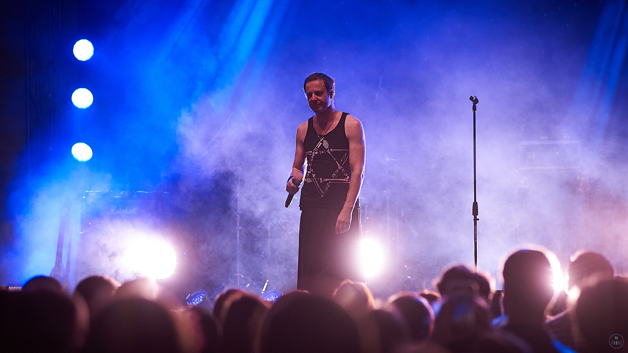 Animal ДжаZ. Фотографии отовсюду и обо всем