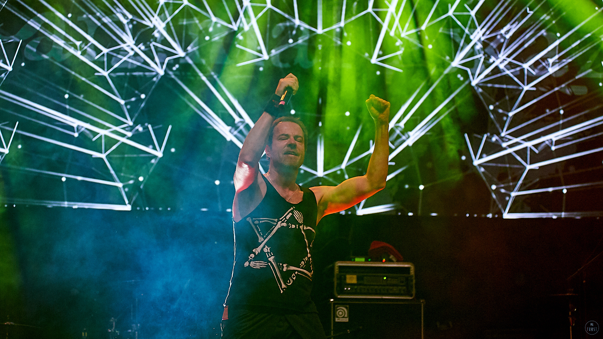 Animal ДжаZ. Фотографии отовсюду и обо всем