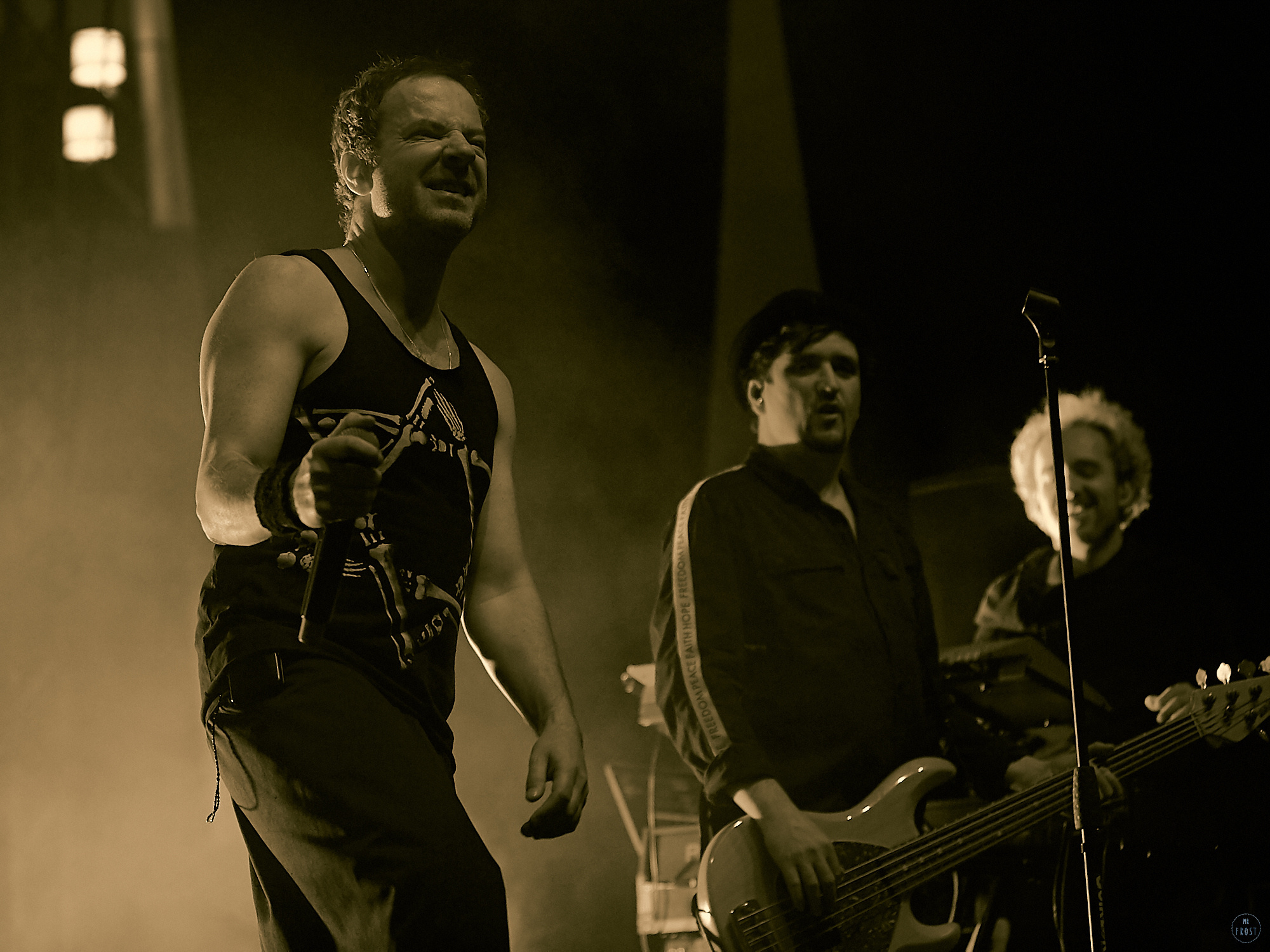 Animal ДжаZ. Фотографии отовсюду и обо всем