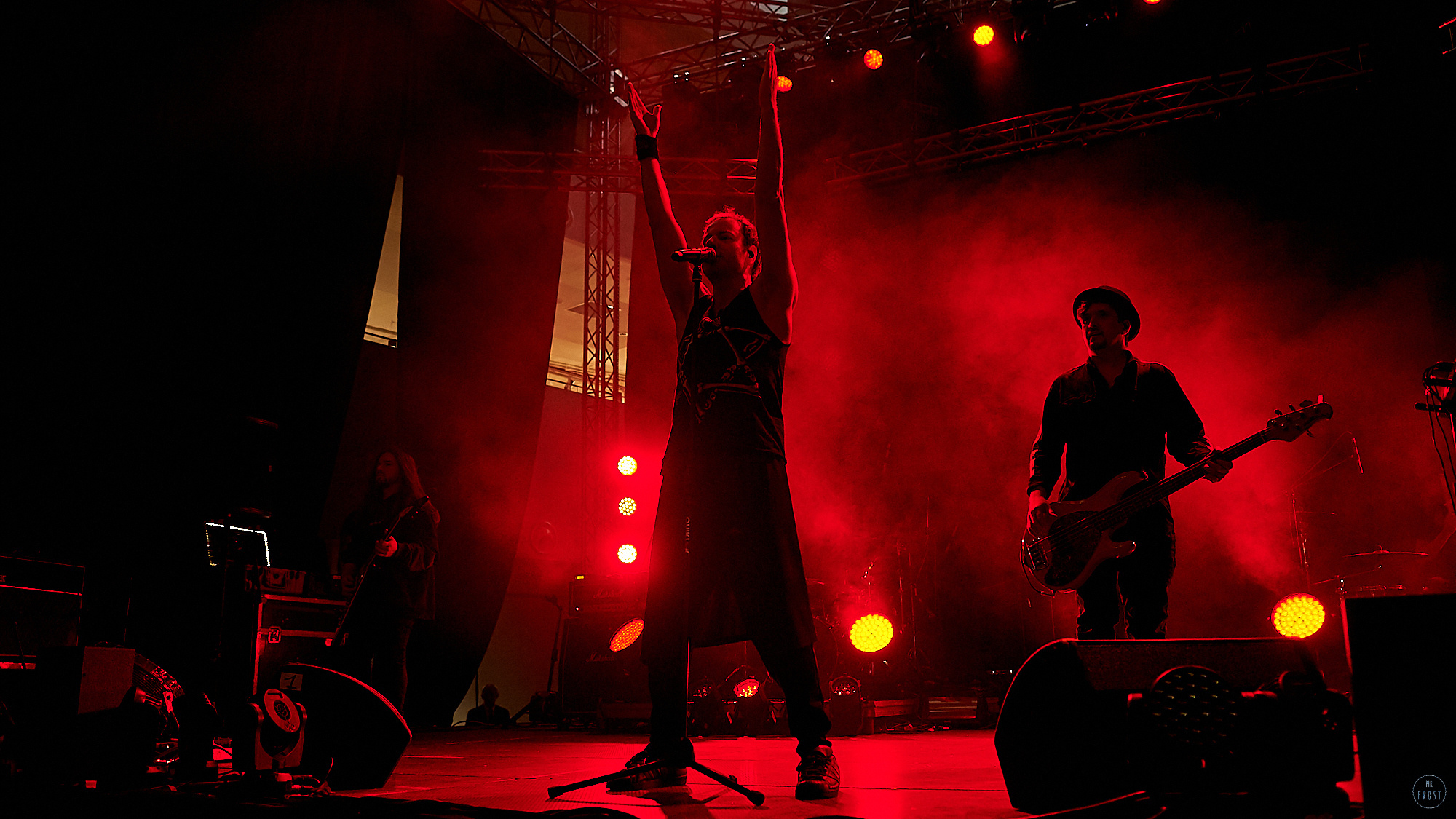 Animal ДжаZ. Фотографии отовсюду и обо всем