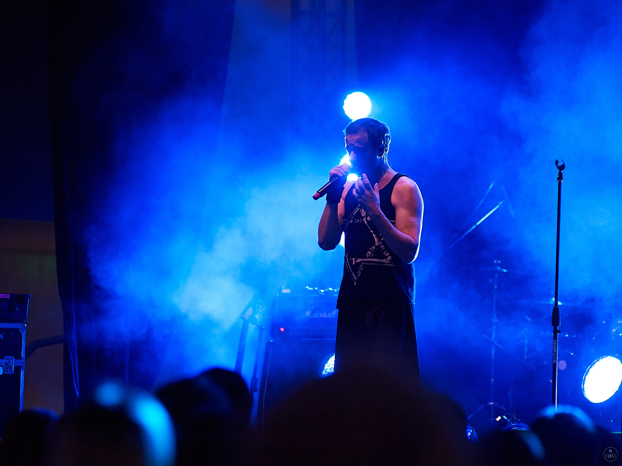 Animal ДжаZ. Фотографии отовсюду и обо всем