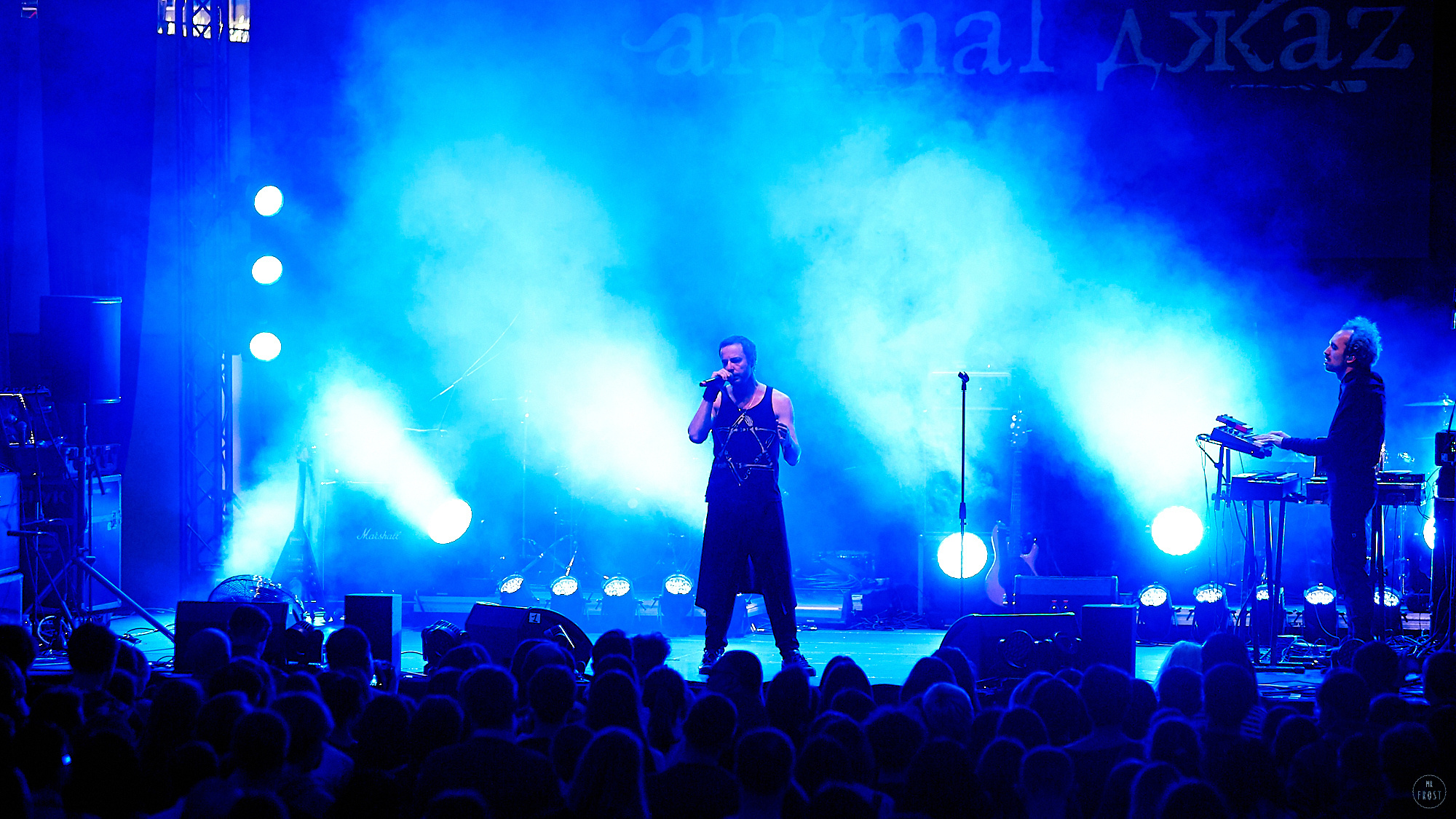 Animal ДжаZ. Фотографии отовсюду и обо всем