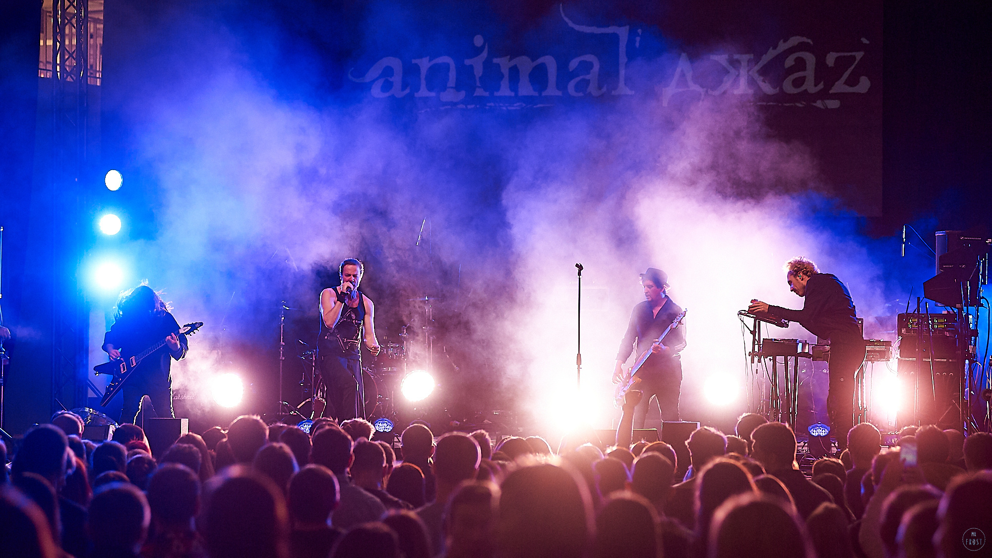 Animal ДжаZ. Фотографии отовсюду и обо всем