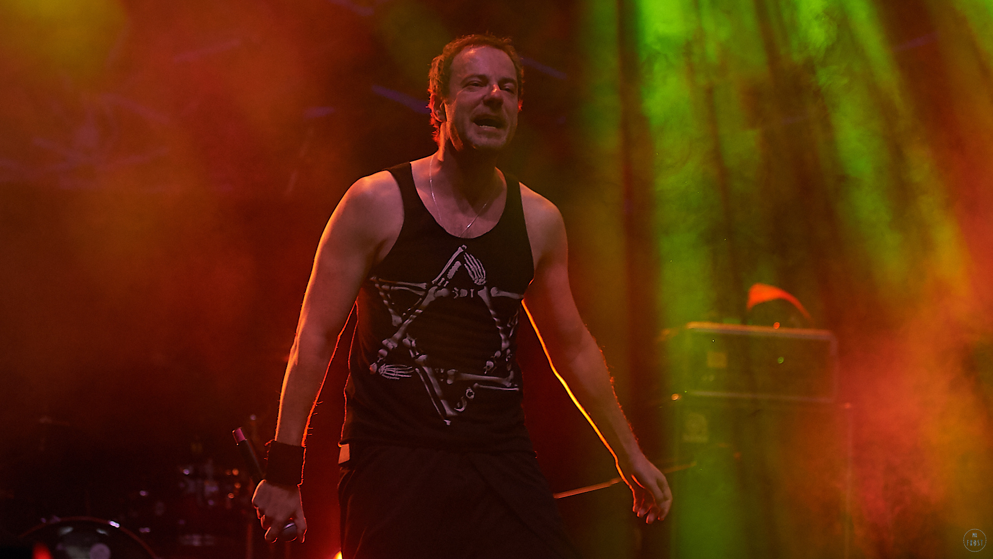 Animal ДжаZ. Фотографии отовсюду и обо всем