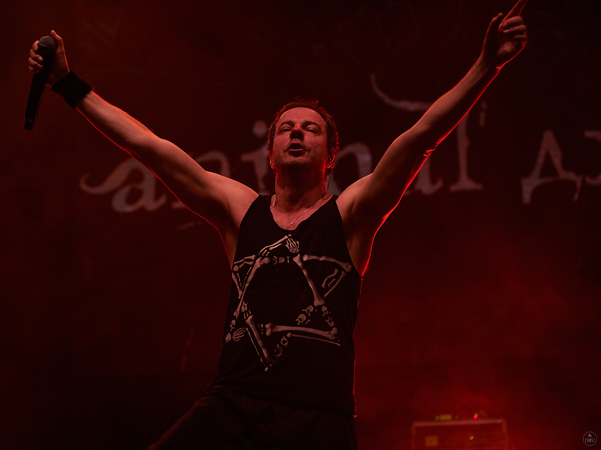 Animal ДжаZ. Фотографии отовсюду и обо всем