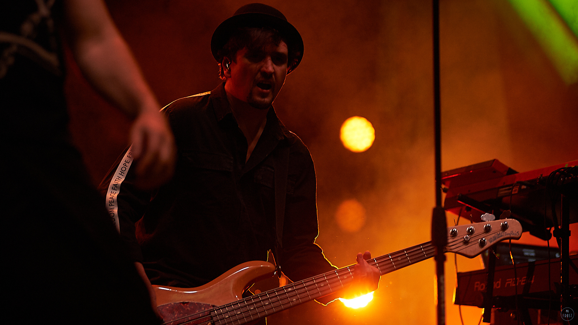 Animal ДжаZ. Фотографии отовсюду и обо всем