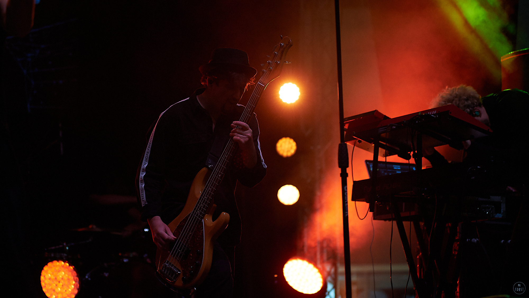 Animal ДжаZ. Фотографии отовсюду и обо всем