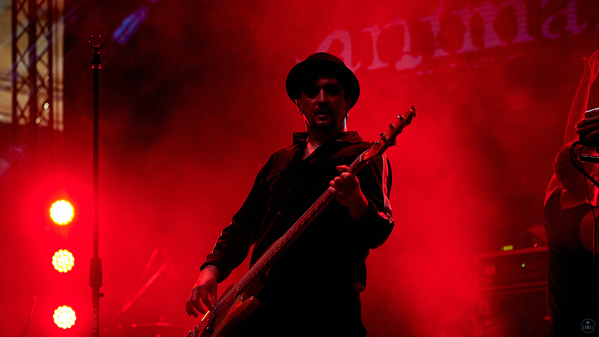 Animal ДжаZ. Фотографии отовсюду и обо всем