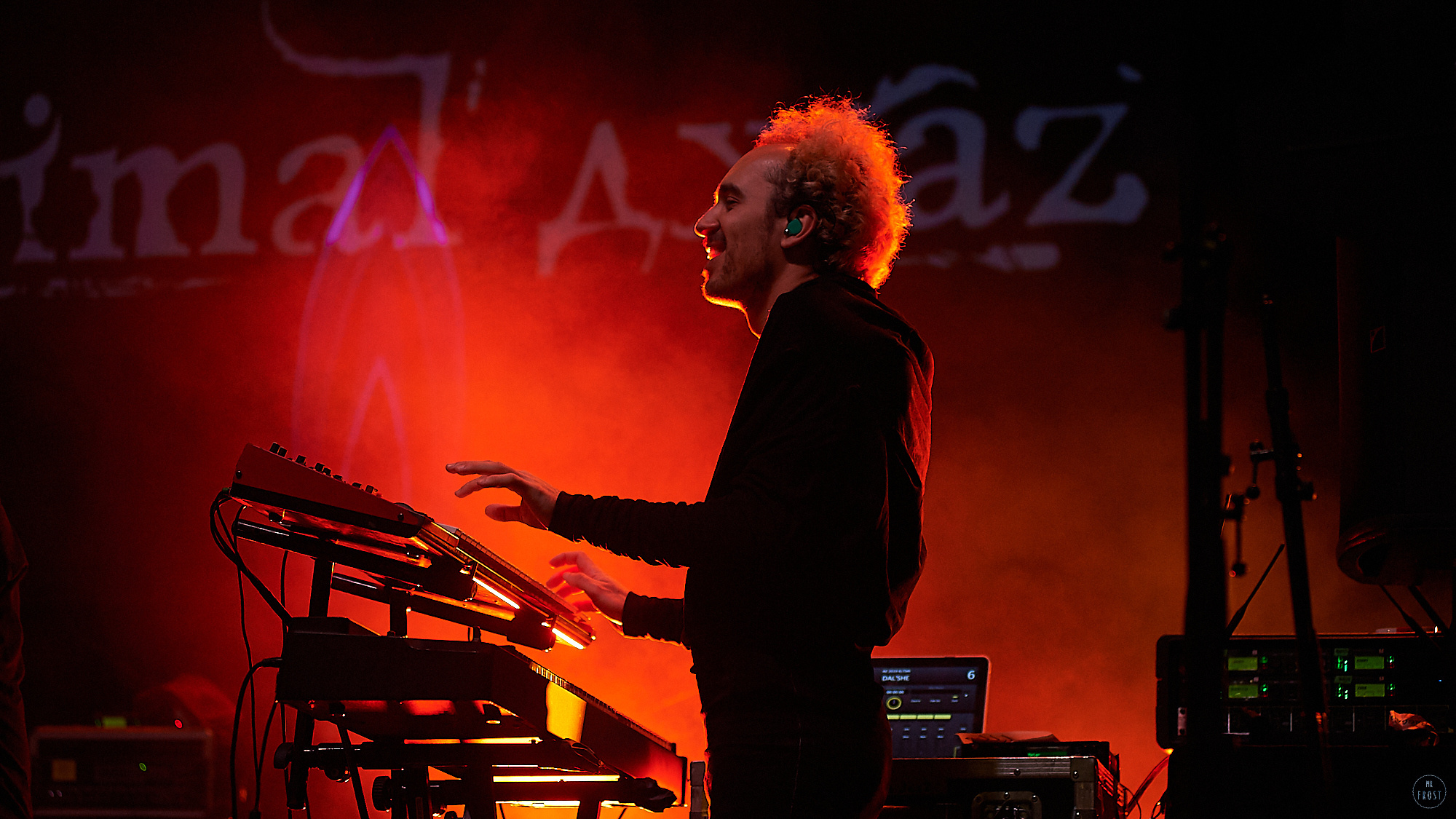 Animal ДжаZ. Фотографии отовсюду и обо всем