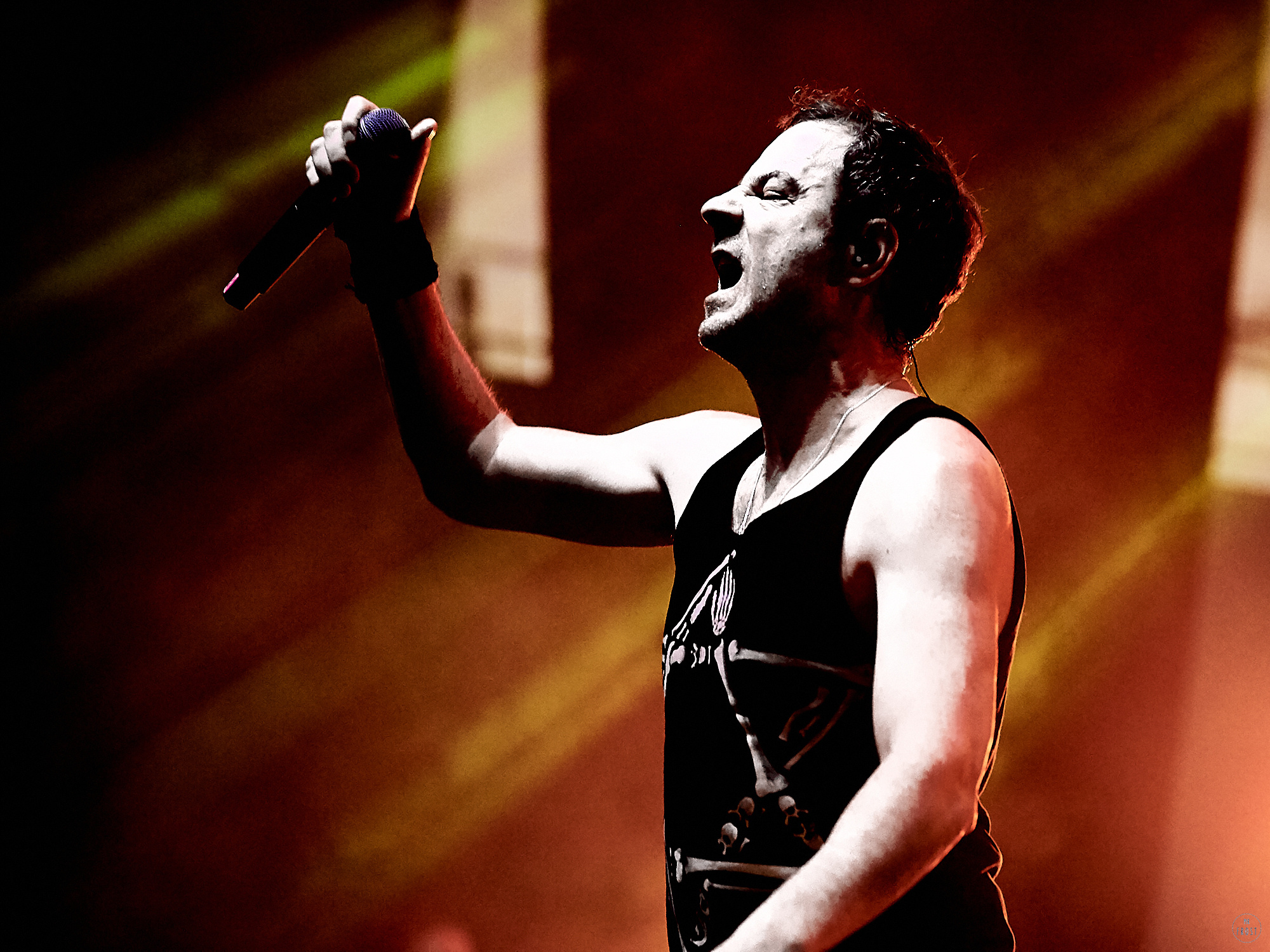 Animal ДжаZ. Фотографии отовсюду и обо всем