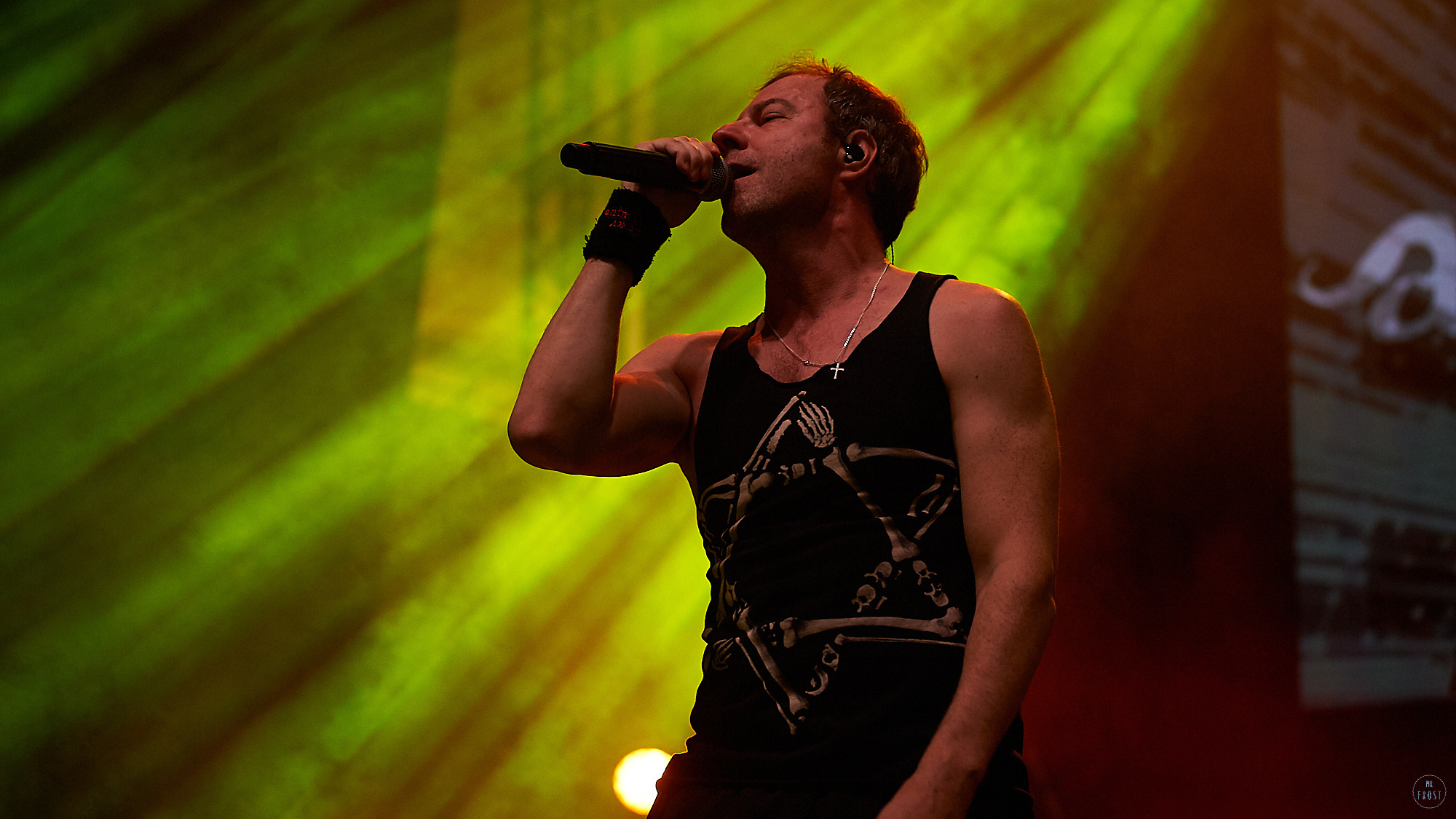 Animal ДжаZ. Фотографии отовсюду и обо всем