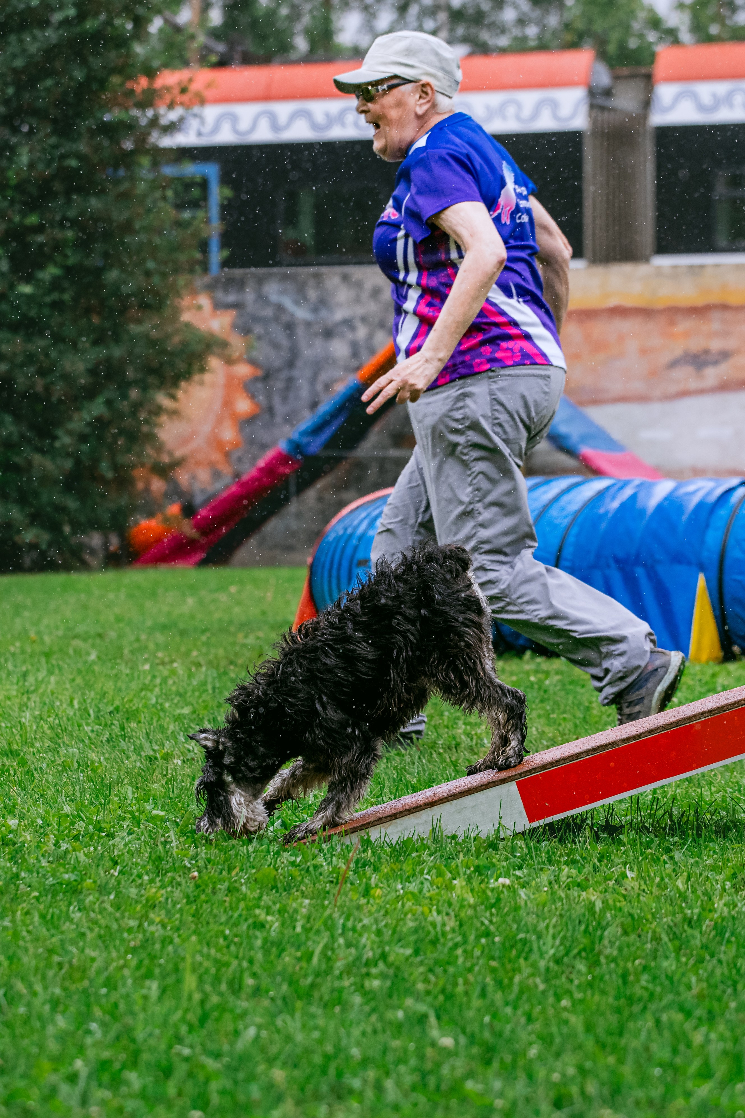 Соревнования по аджилити Долгопрудный 30.06.2025. Фотограф-анималист Татьяна Степанова