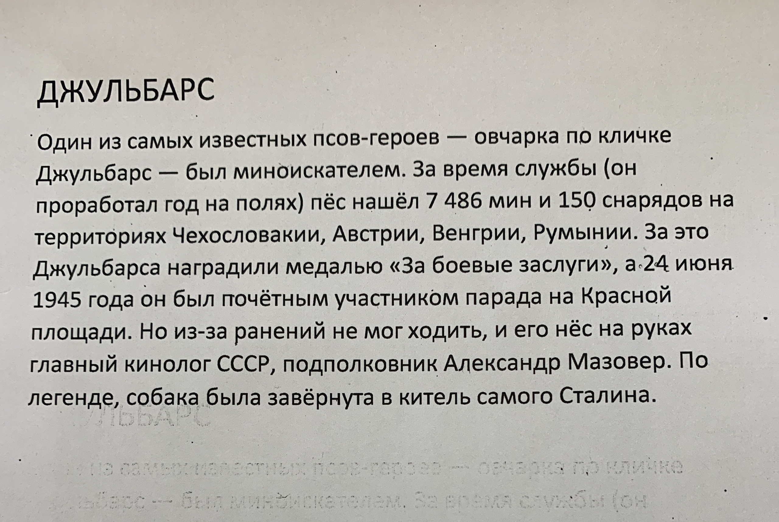 Акция рисунков «Собаки-герои Великой Отечественной войны». НРОО КЦ "Собаковод"