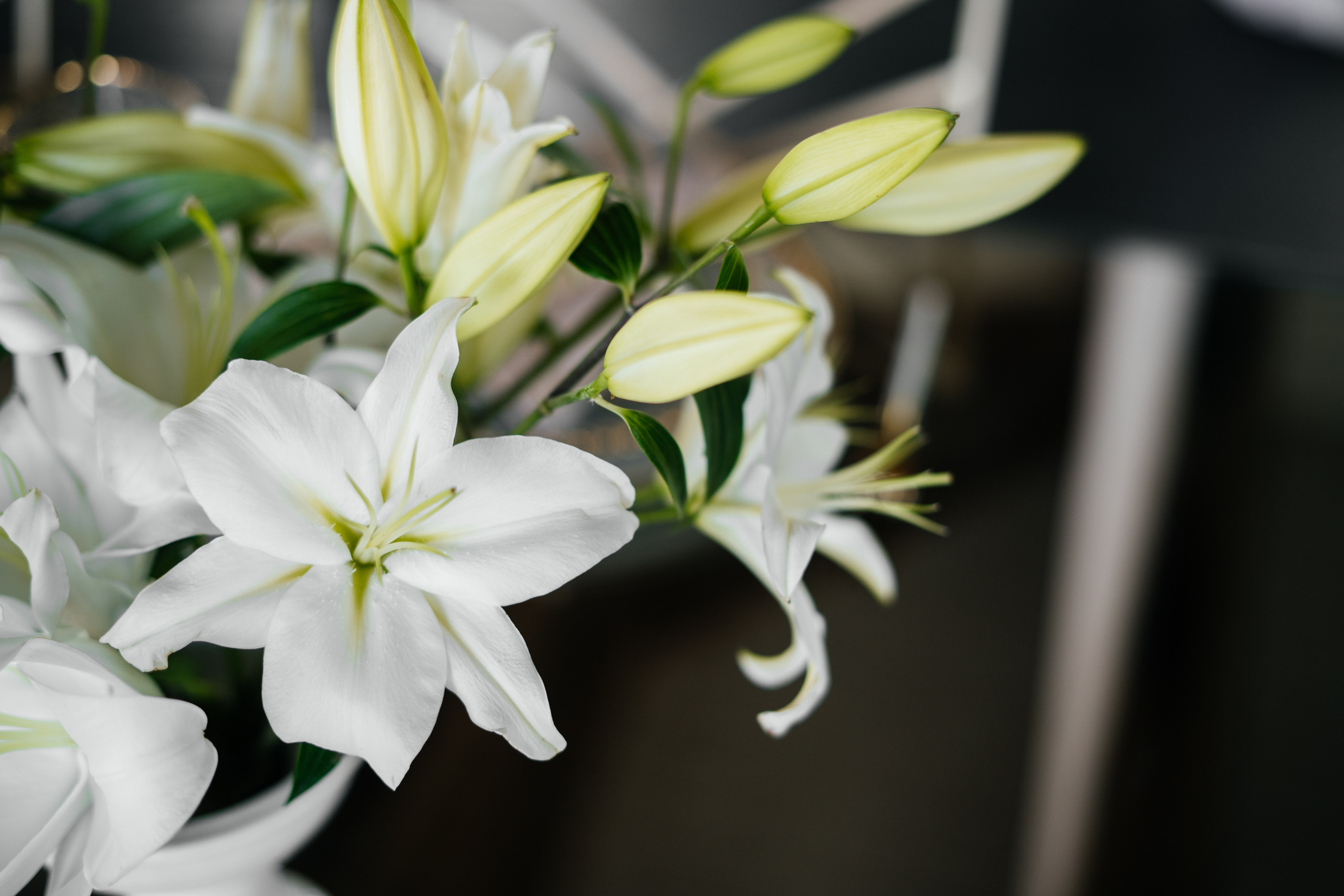 Seneshal wedding. Valeria Coconova Photographer Italy Como Milan