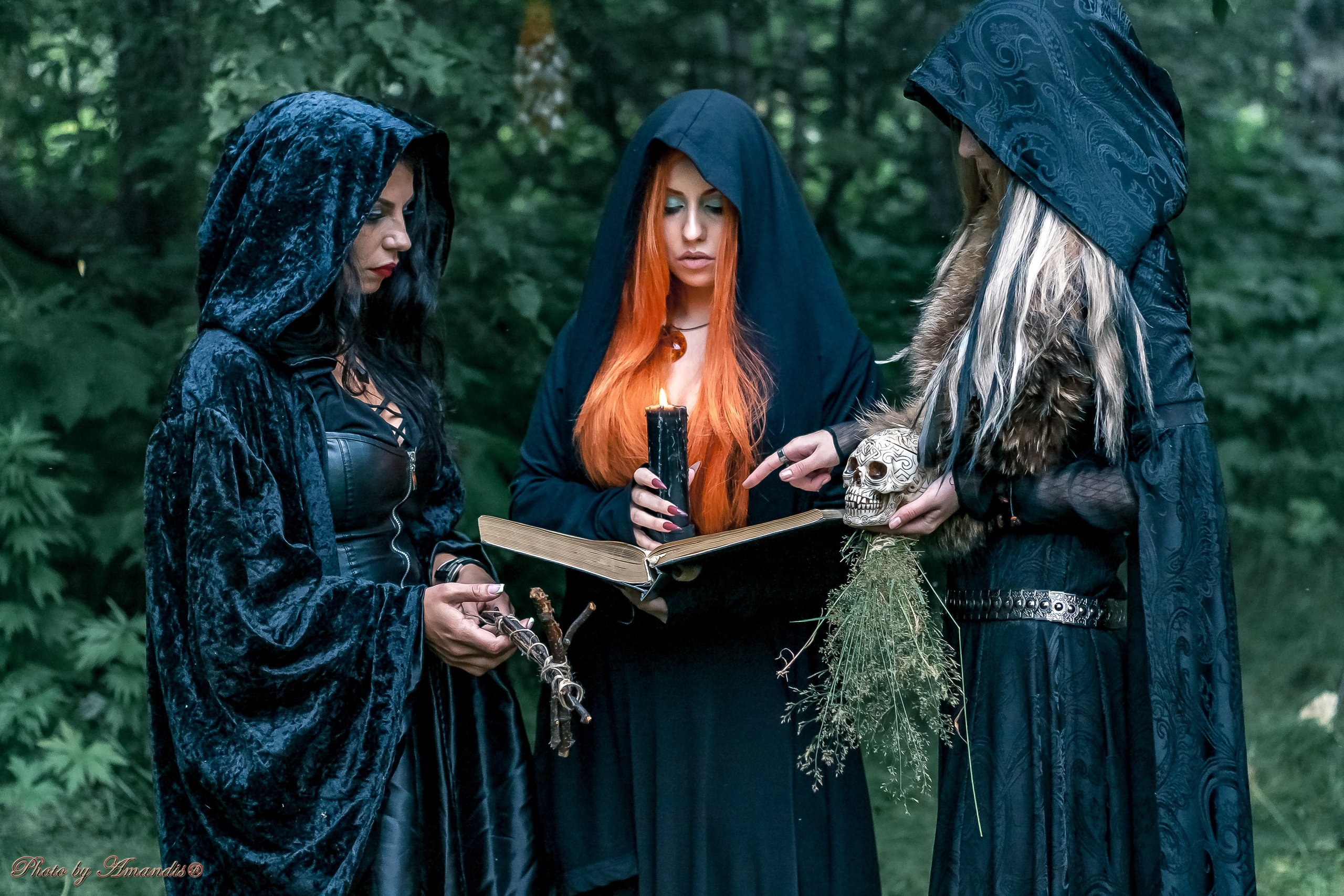 The witches. Репортажная съемка в Москве и области. Анималистика