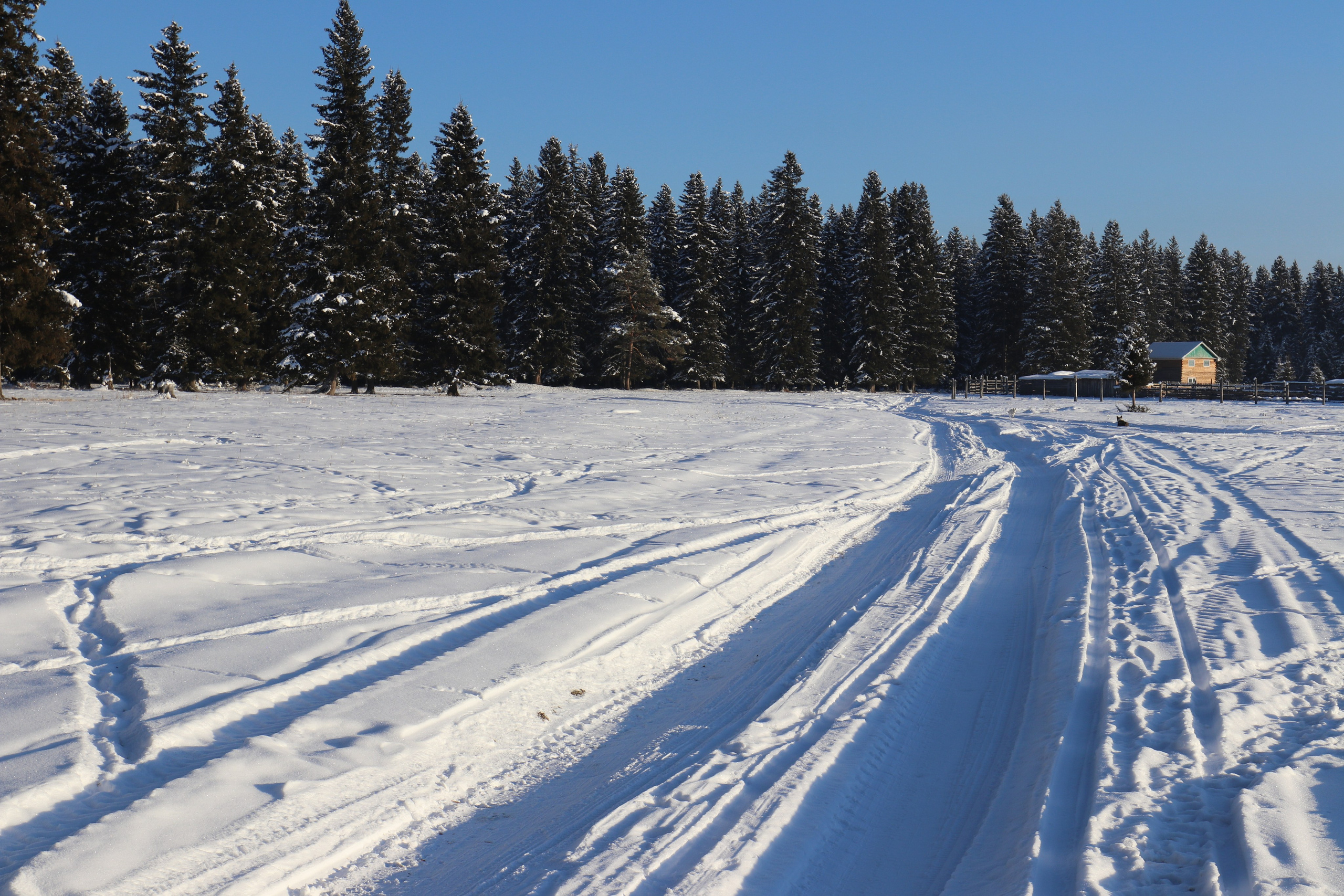 Аршан. Январь 2022. Путешественник-фотограф из Санкт-Петербурга Татьяна Свистулина