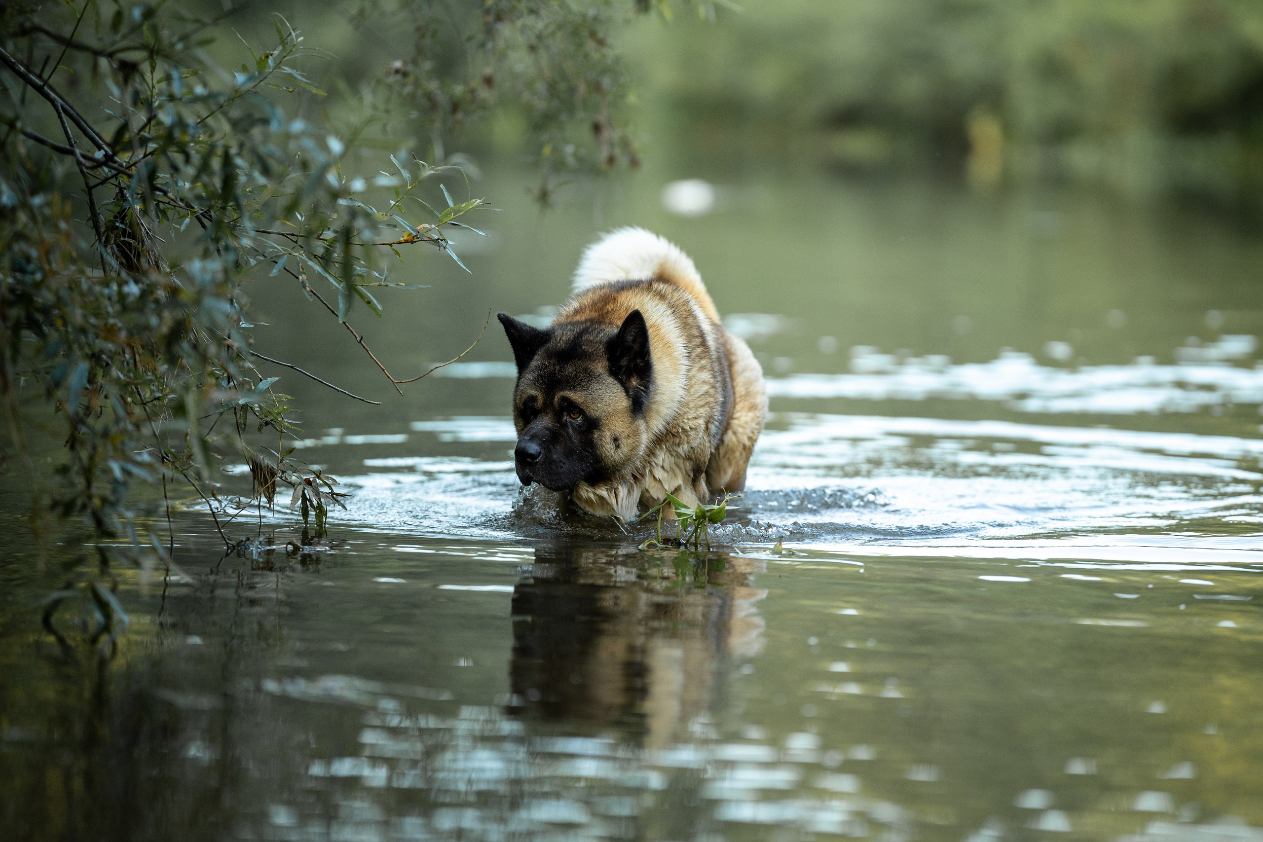 Природные пейзажи. Наталия Клевинскас портретный фотограф в Костроме