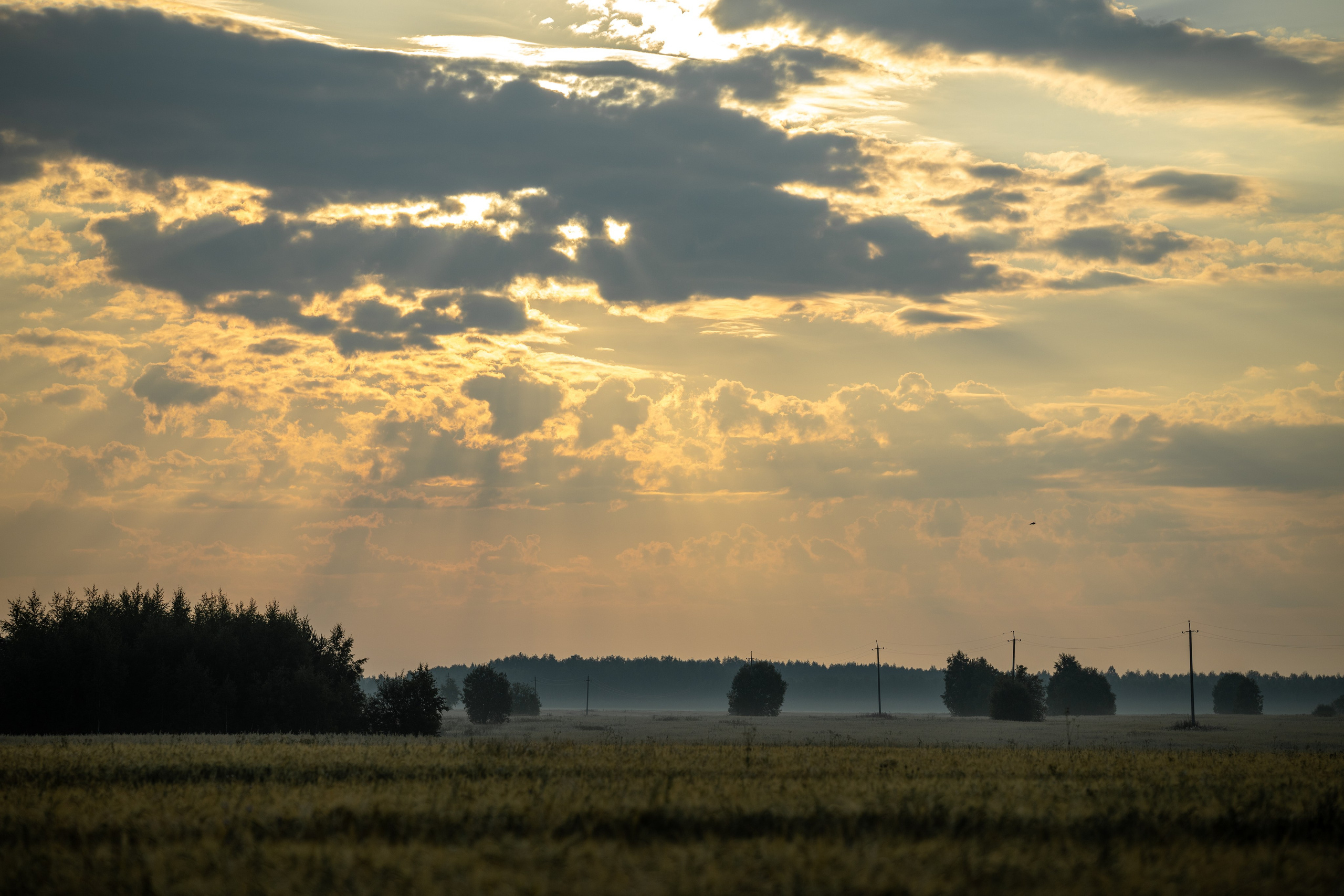 Природные пейзажи. Наталия Клевинскас портретный фотограф в Костроме