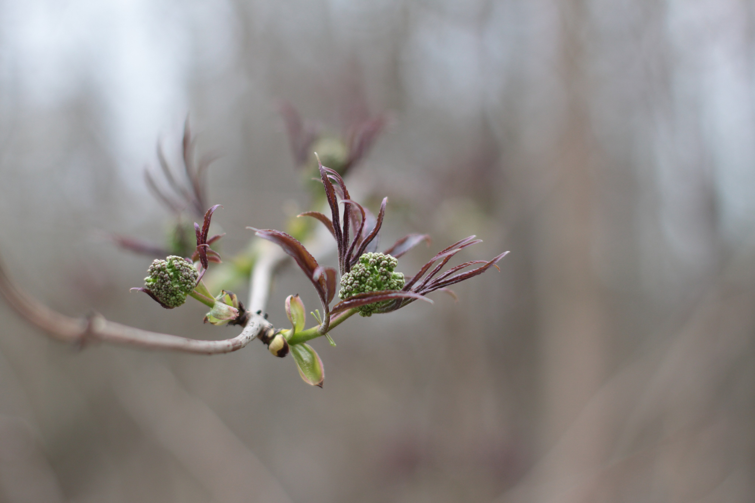 Старое природное, отбирала Katamount (Катерина Горохова). Главная