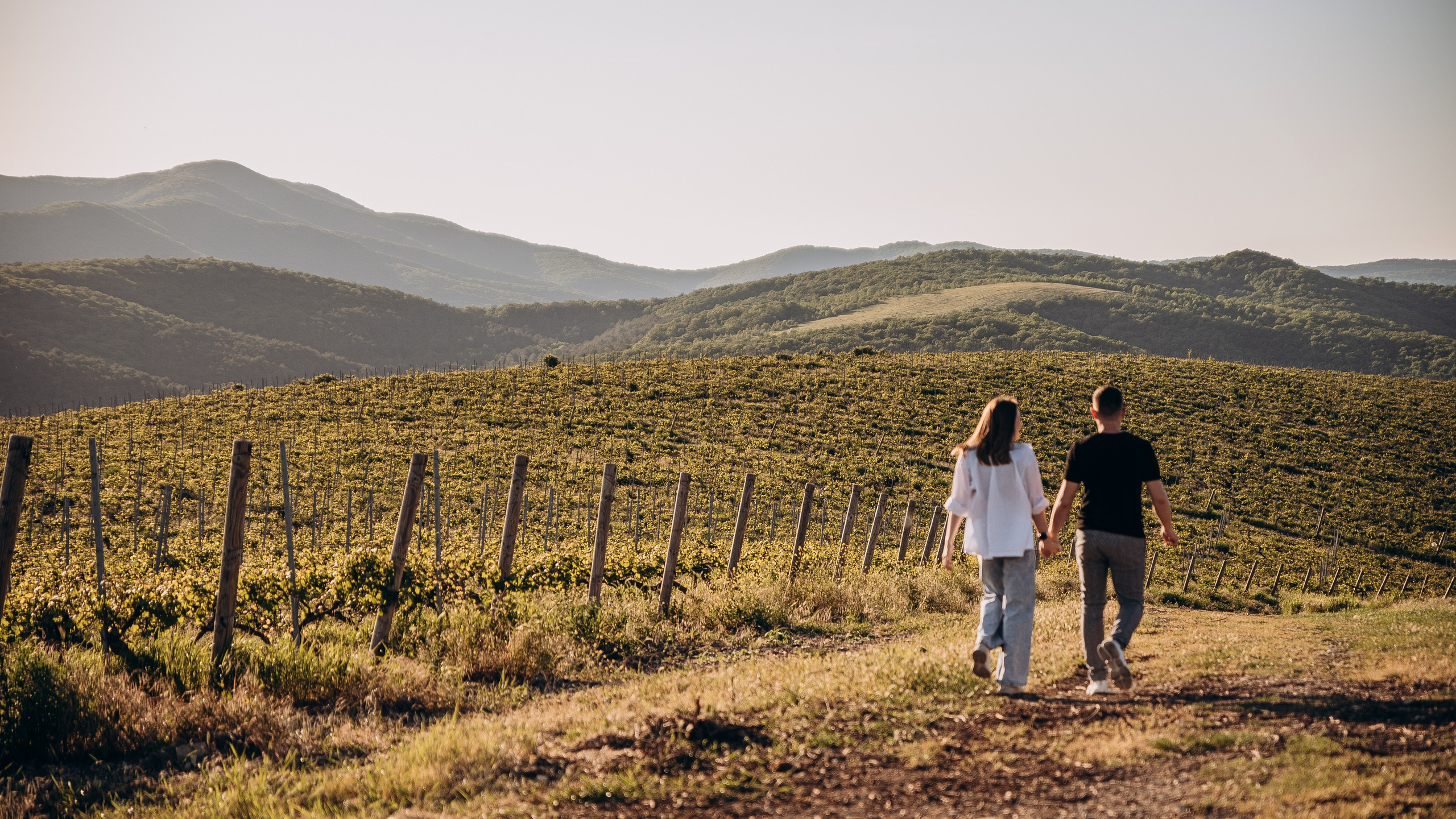 Александра и Николай. Фотограф Новороссийск / ЮФО / Москва Руслан Пелин