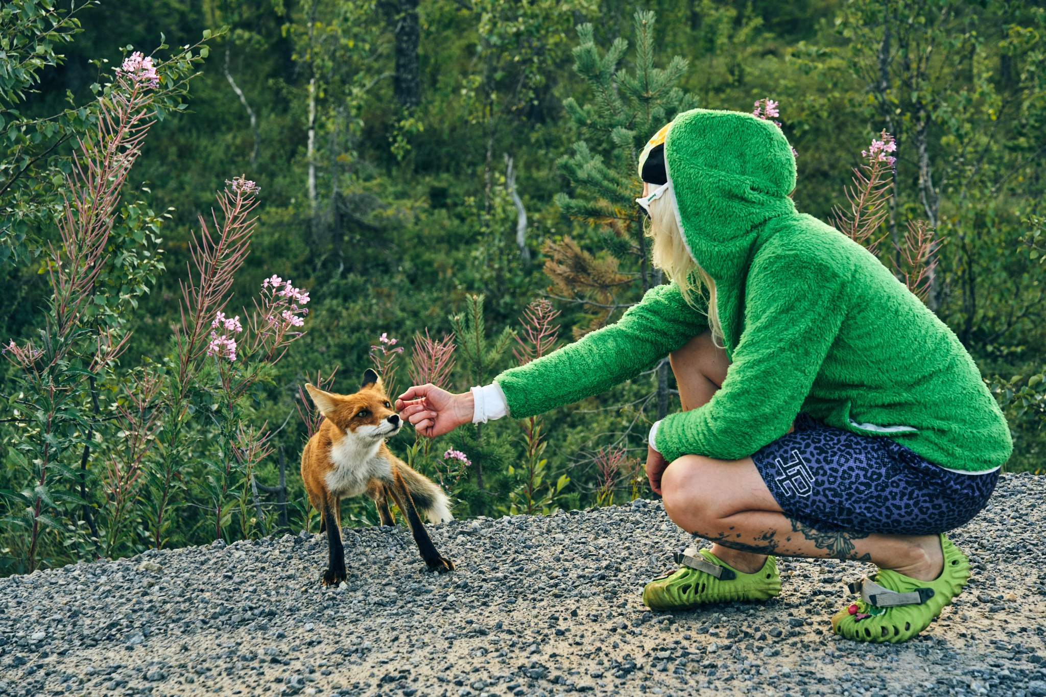 Путешествие на Север в 2023 году. Внедорожные путешествия — OFFROADTRIP