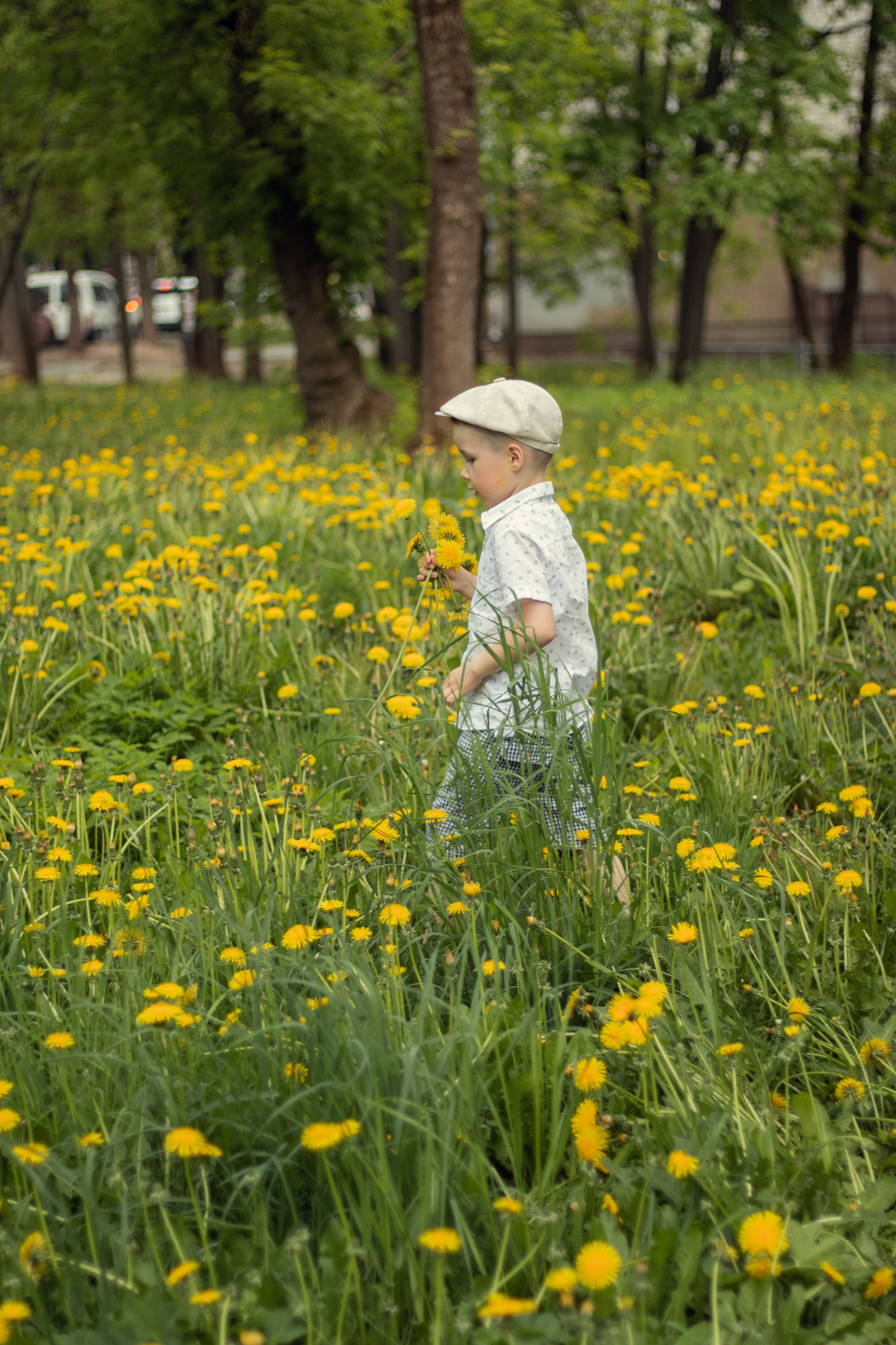 Одуванчиковое настроение