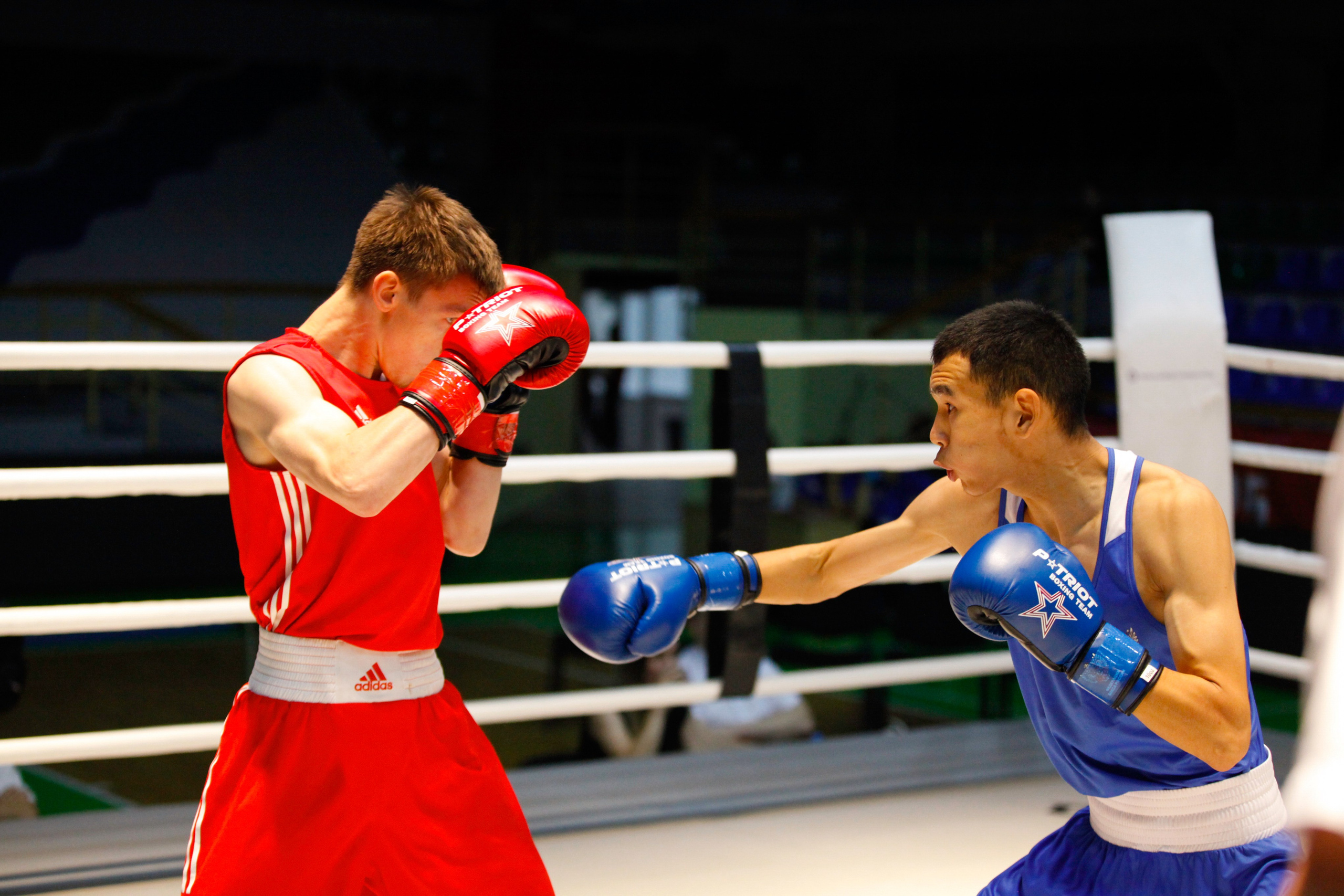 БОКС. Фото. Спортивный фотограф, трансляция, звук и свет в Новосибирске