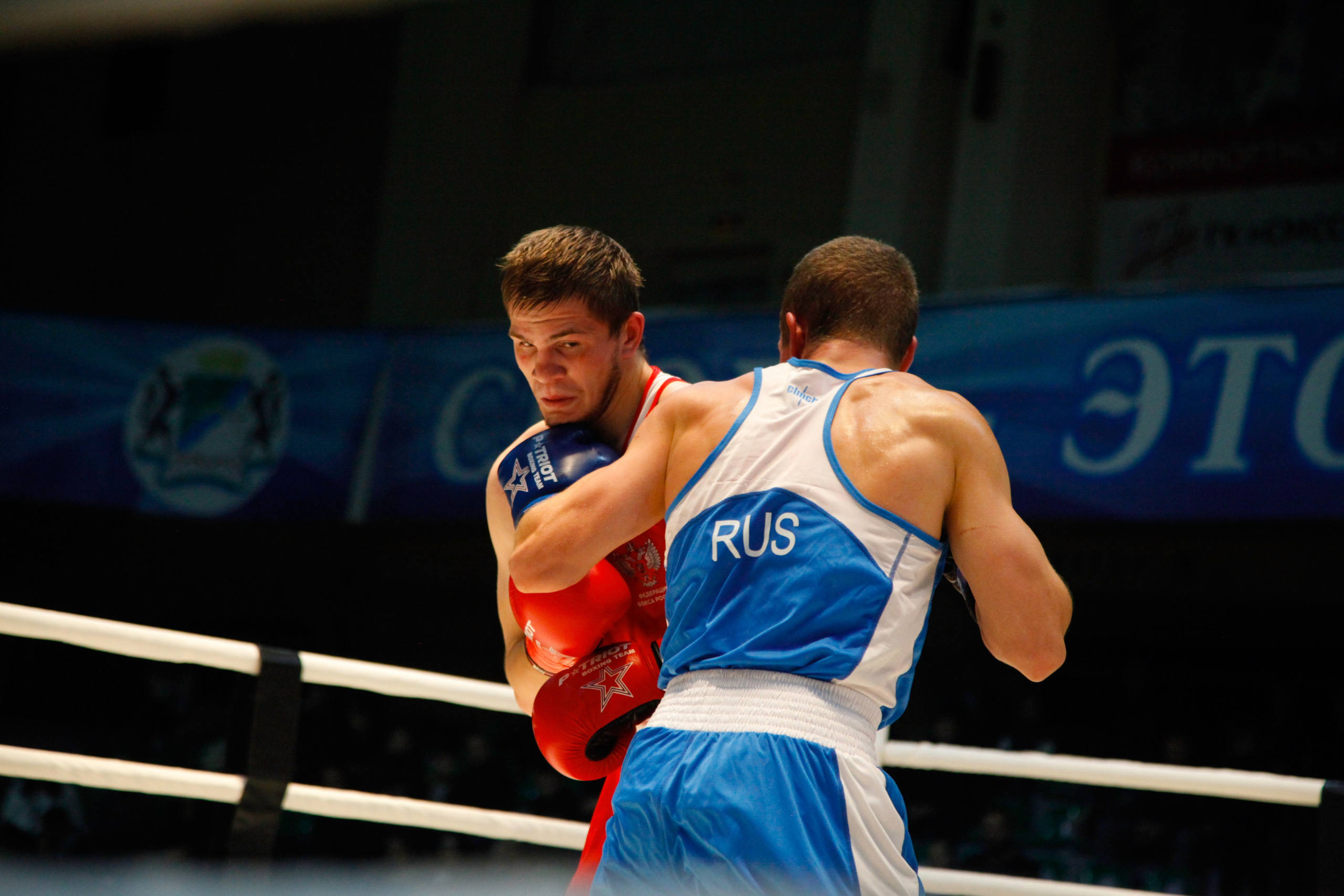 БОКС. Фото. Спортивный фотограф, трансляция, звук и свет в Новосибирске