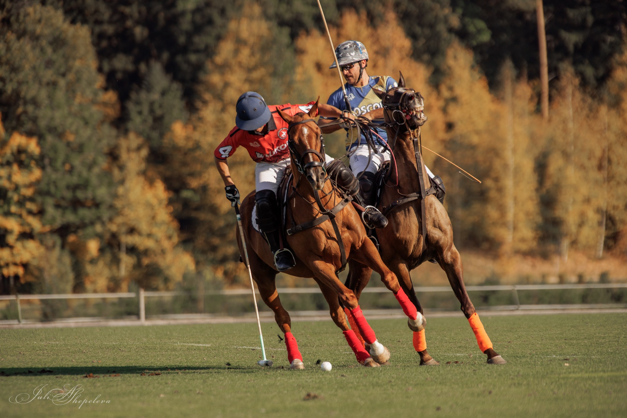 Осенний кубок по конному поло. Детская Конная фотография в Москве Юлия Шепелева