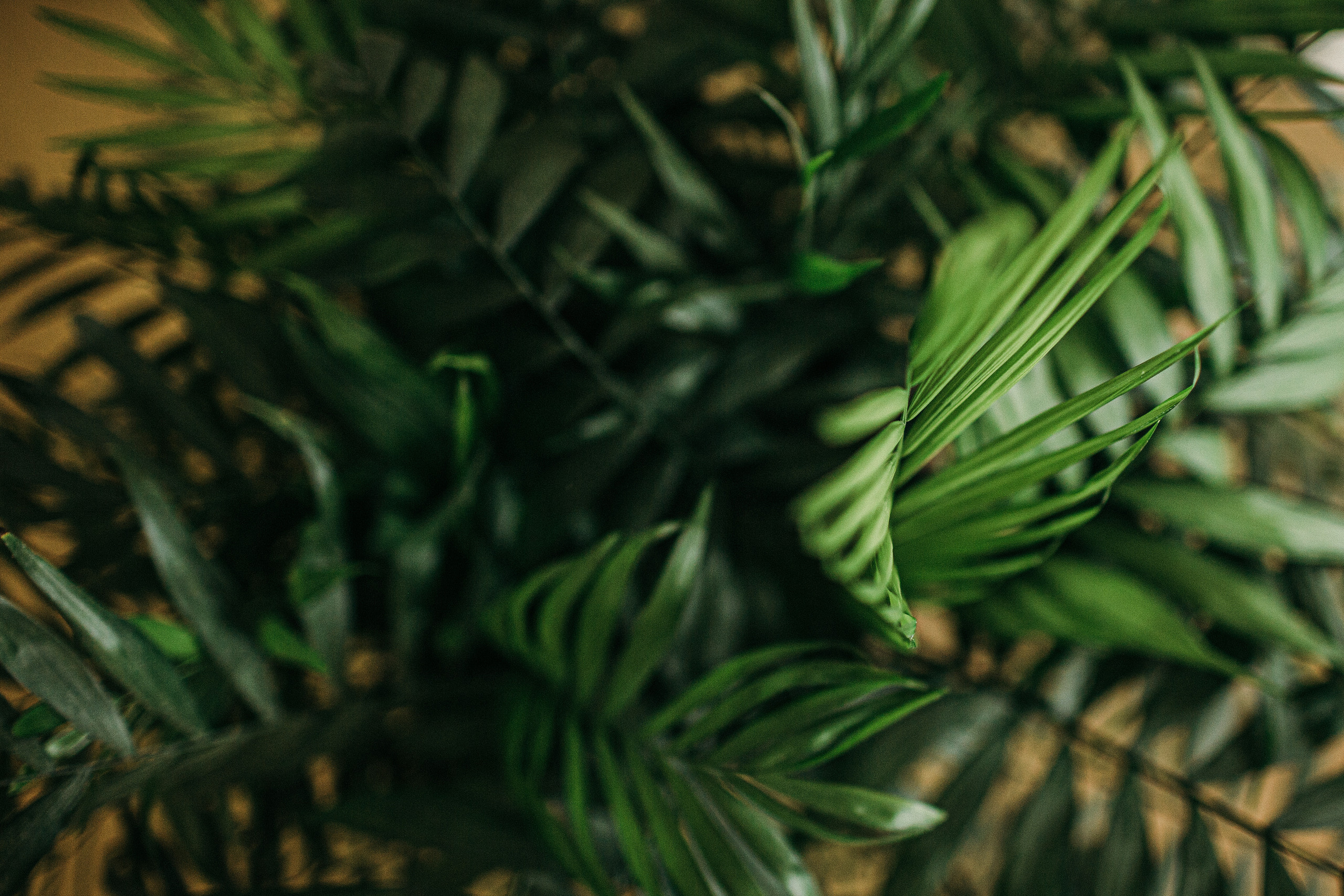 Путинцевы. Портфолио свадебного фотографа. Роман Каргаполов