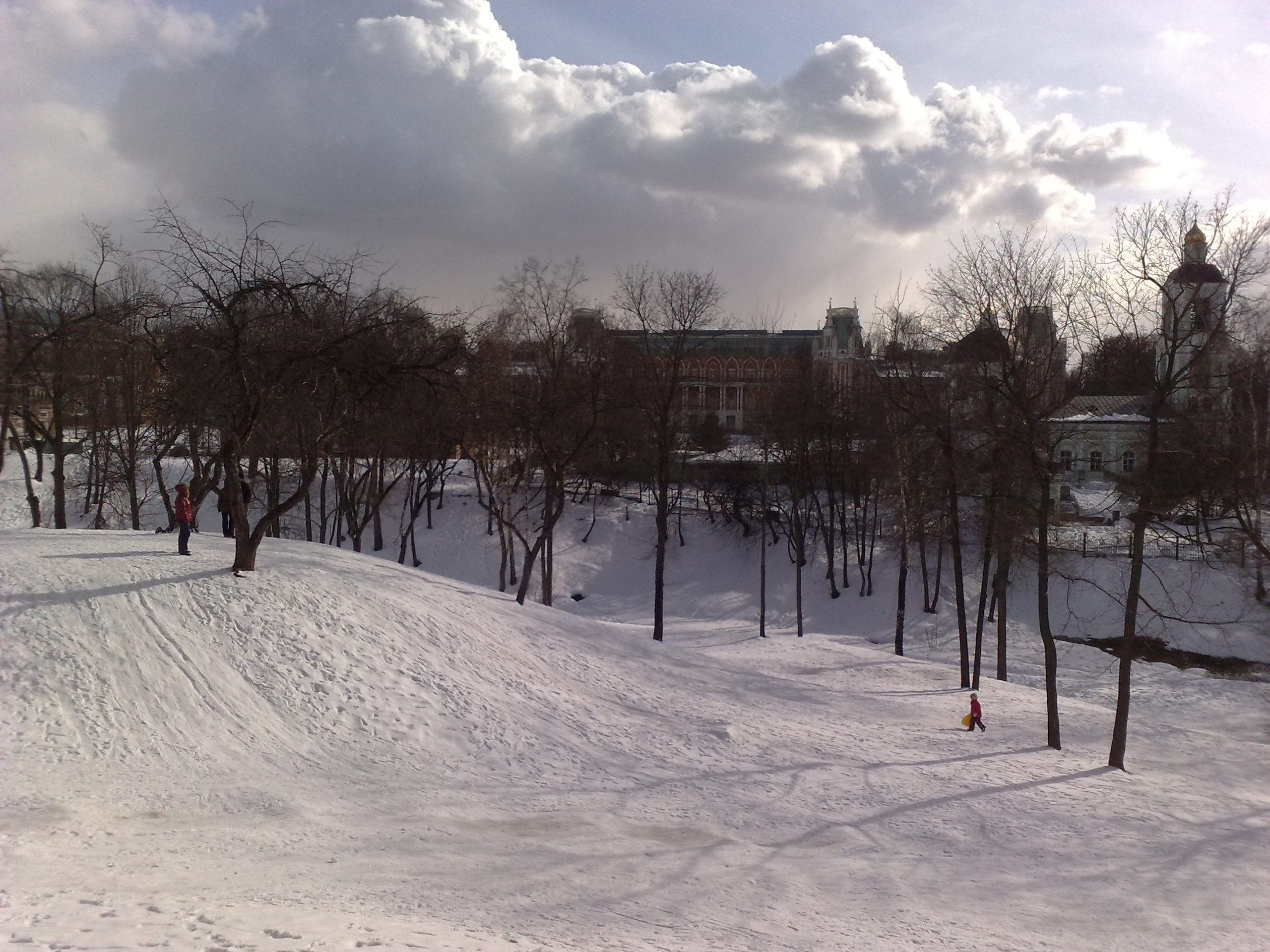 Царицино музей-усадьба. Питомник китайских хохлатых собак Poale Ell: купить щенка в питомнике