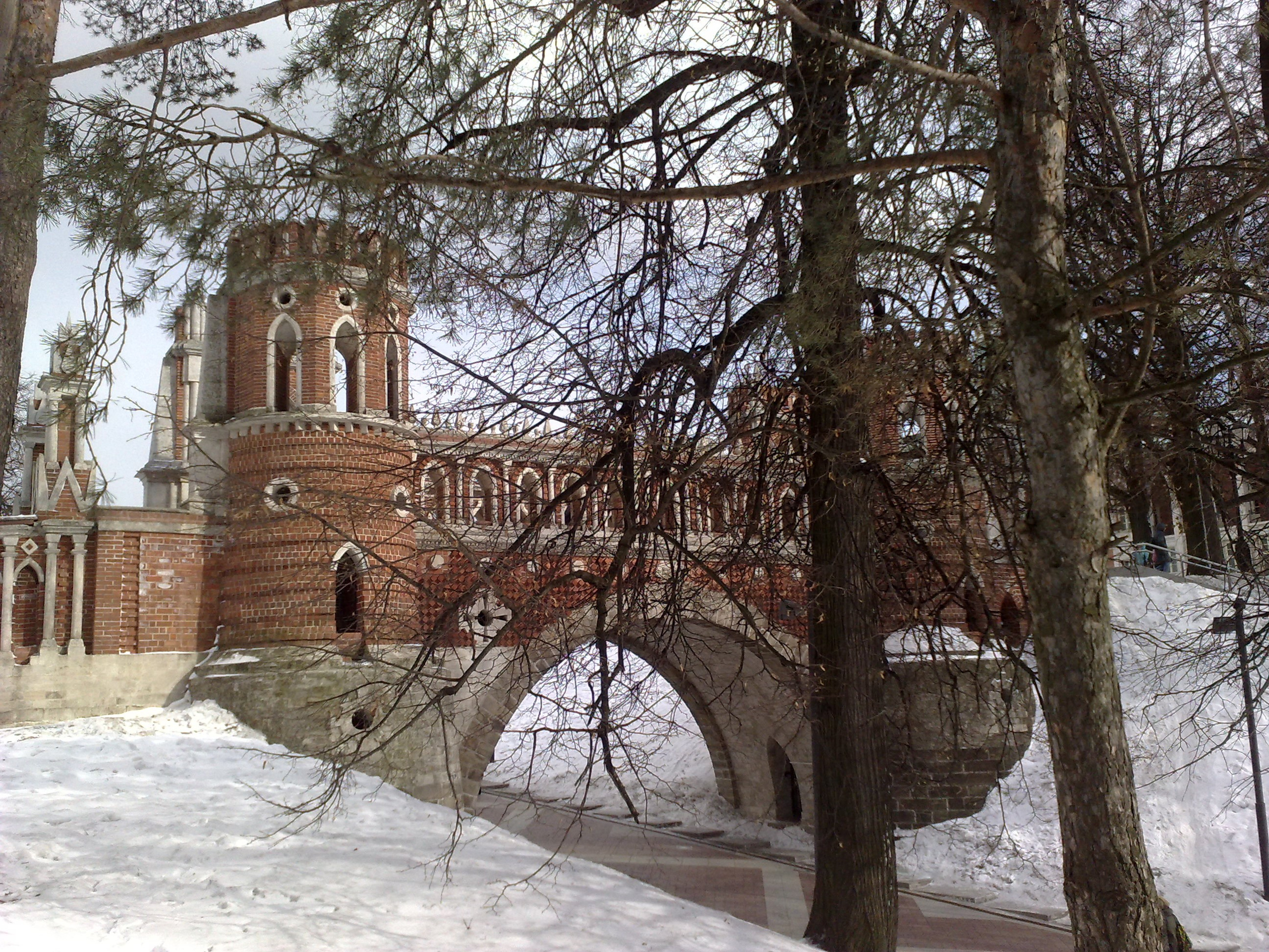 Царицино музей-усадьба. Питомник китайских хохлатых собак Poale Ell: купить щенка в питомнике