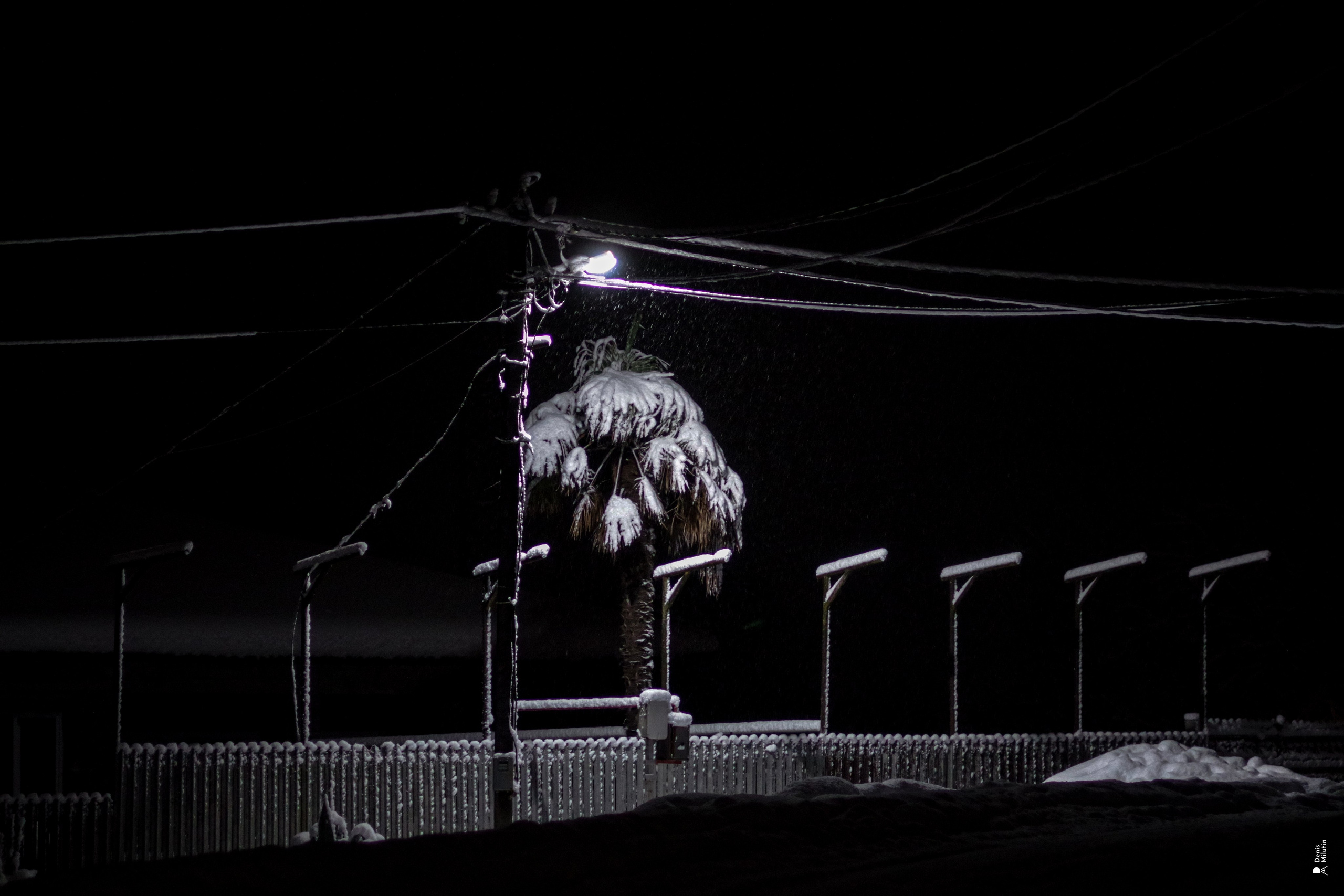 Ночь в Менджи. Портретный фотограф Денис Милютин