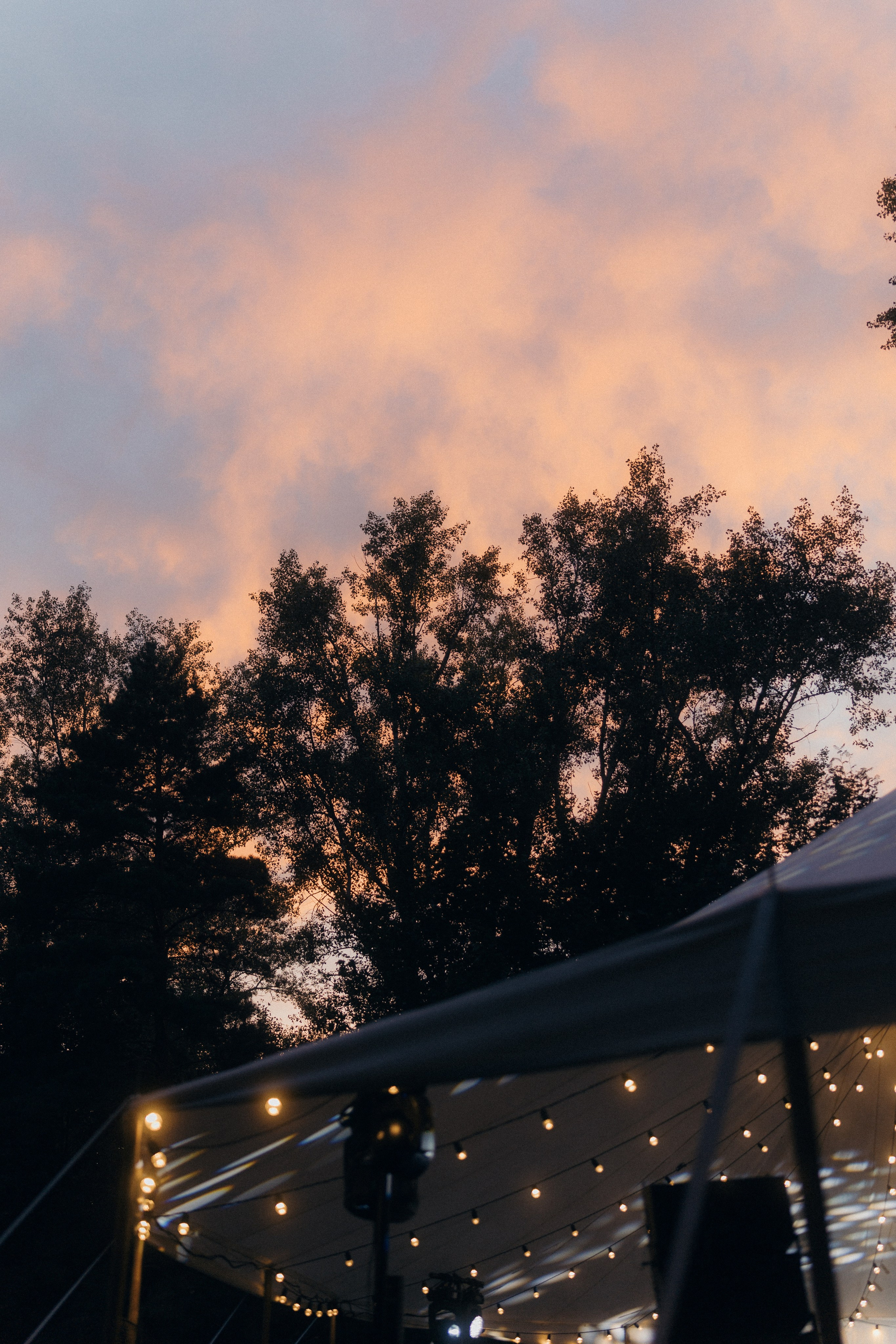 Дмитрий и Арина. Ланемец Юлия — фотограф Волгоград/Волжский