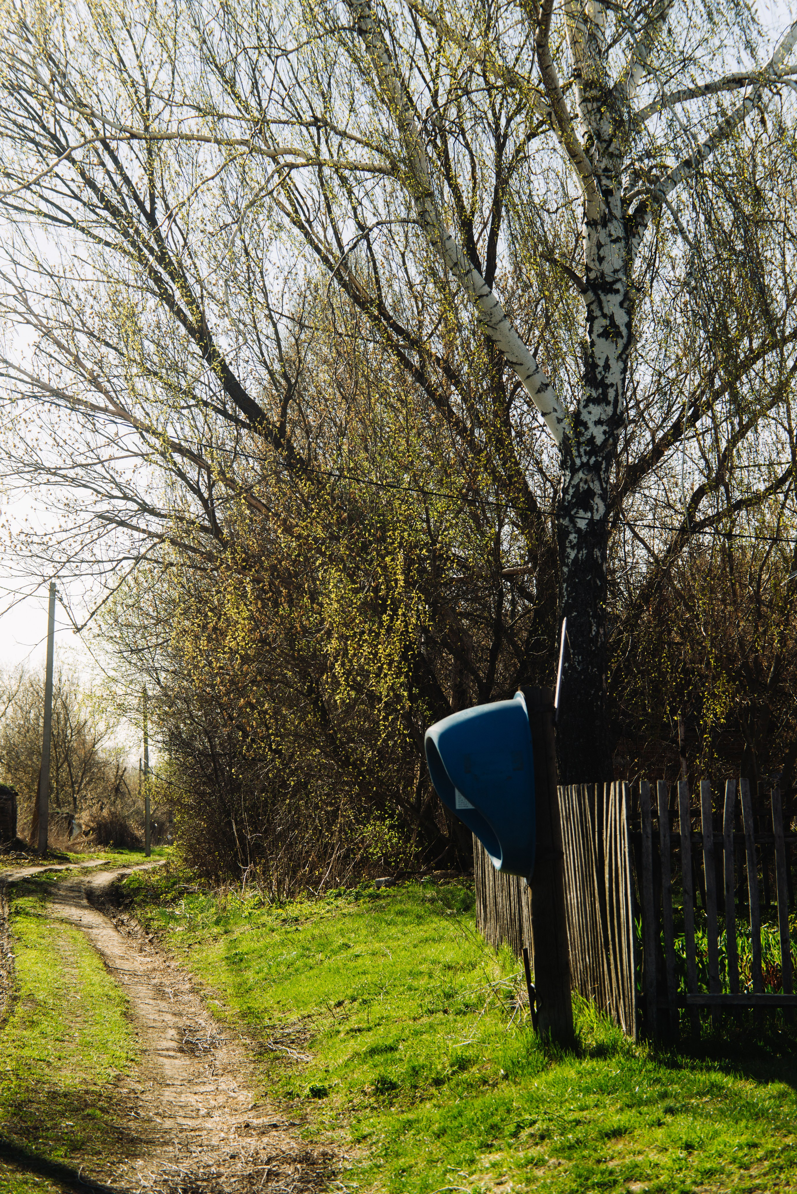 Орановка. Репортажный и портретный фотограф в Липецкой, Воронежской, Московской области Тёма Белоусов
