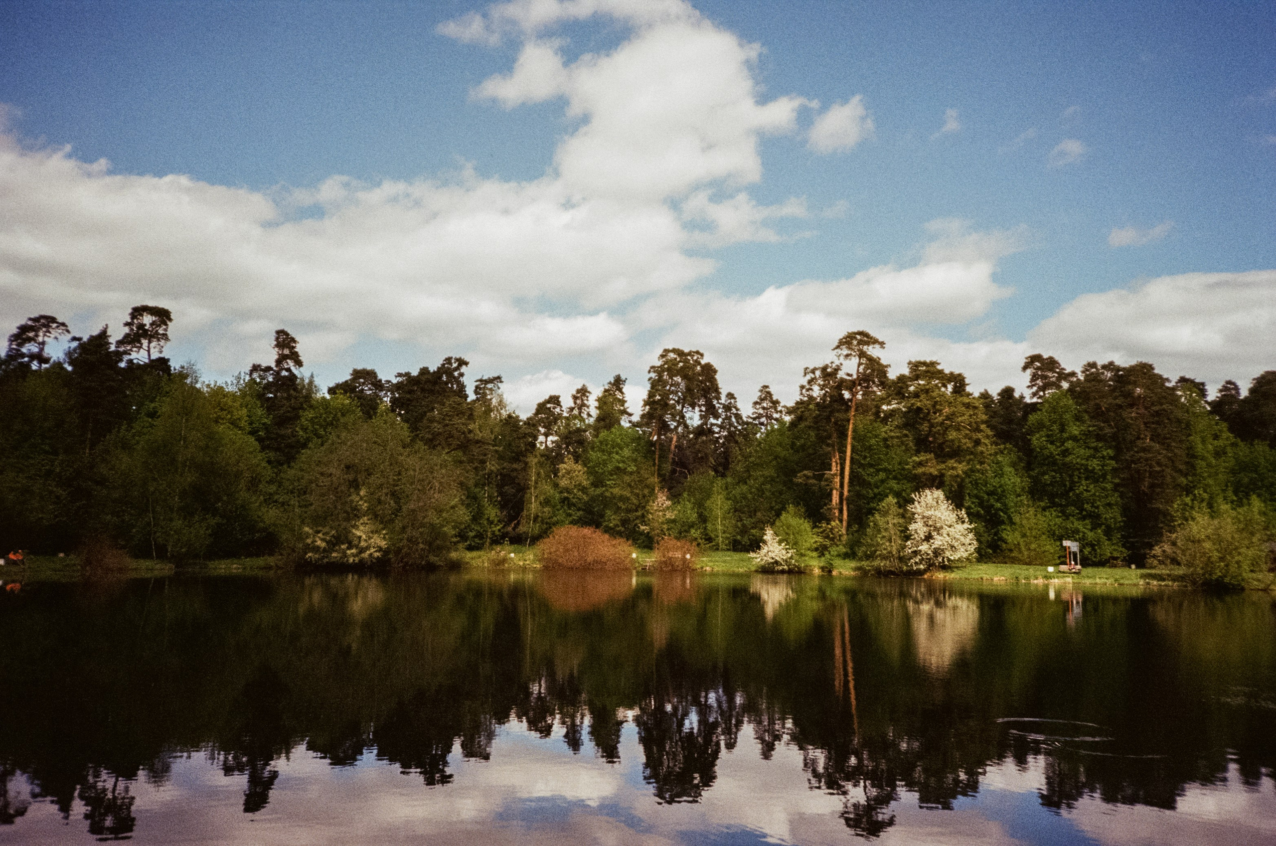 Ricoh R1 | Kodak ProImage 100 | 6 мая 2025 года СерБор