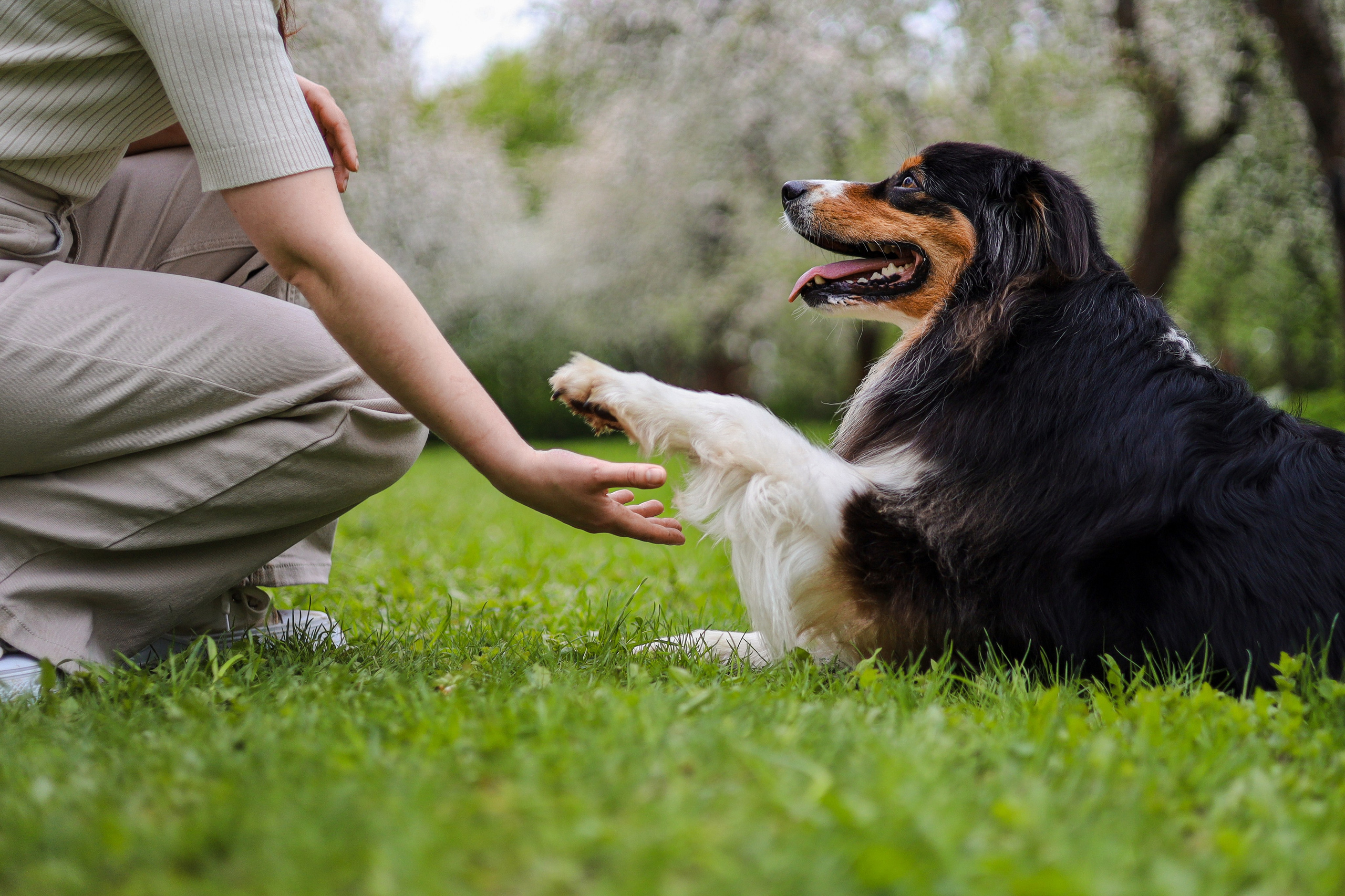 Келли и Света. Фотограф-анималист Ксения Шевцова|Москва