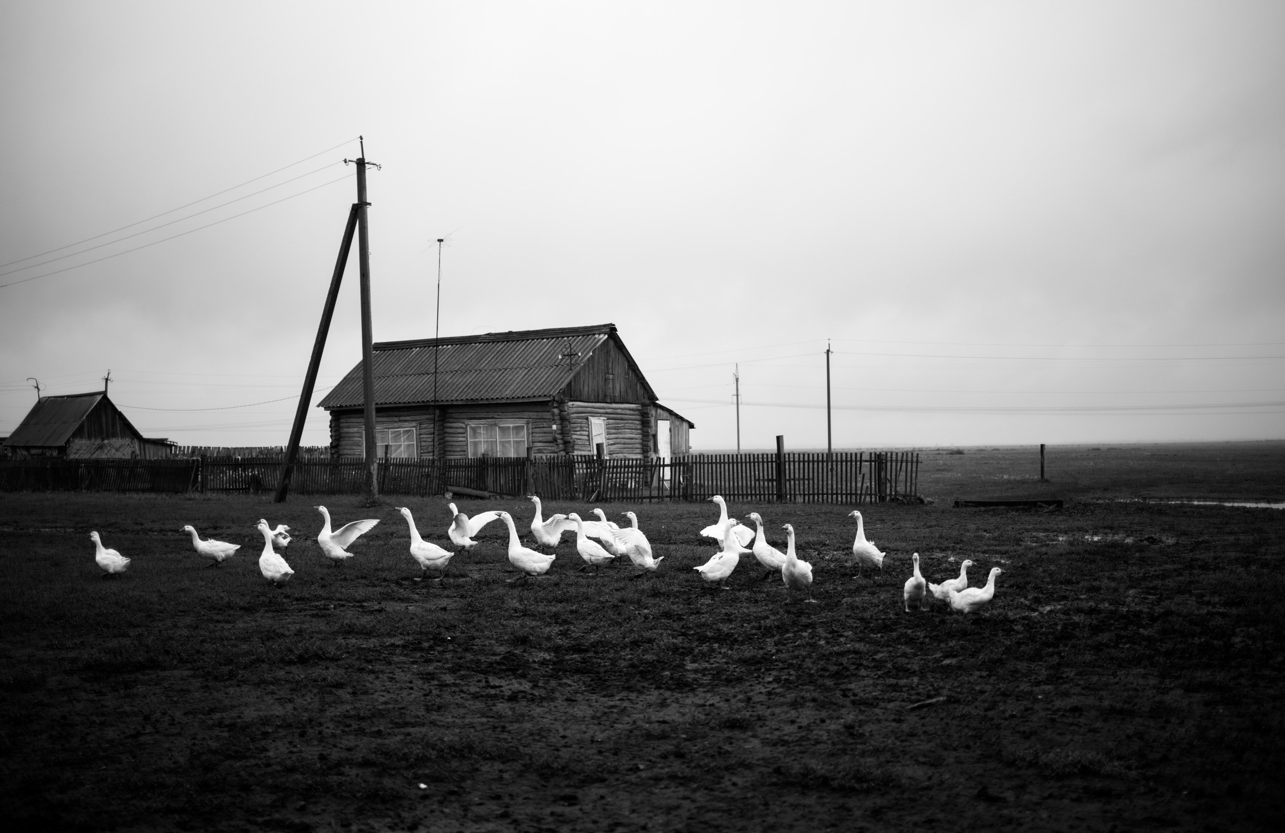 DOC. Photographer Alina Skitovich