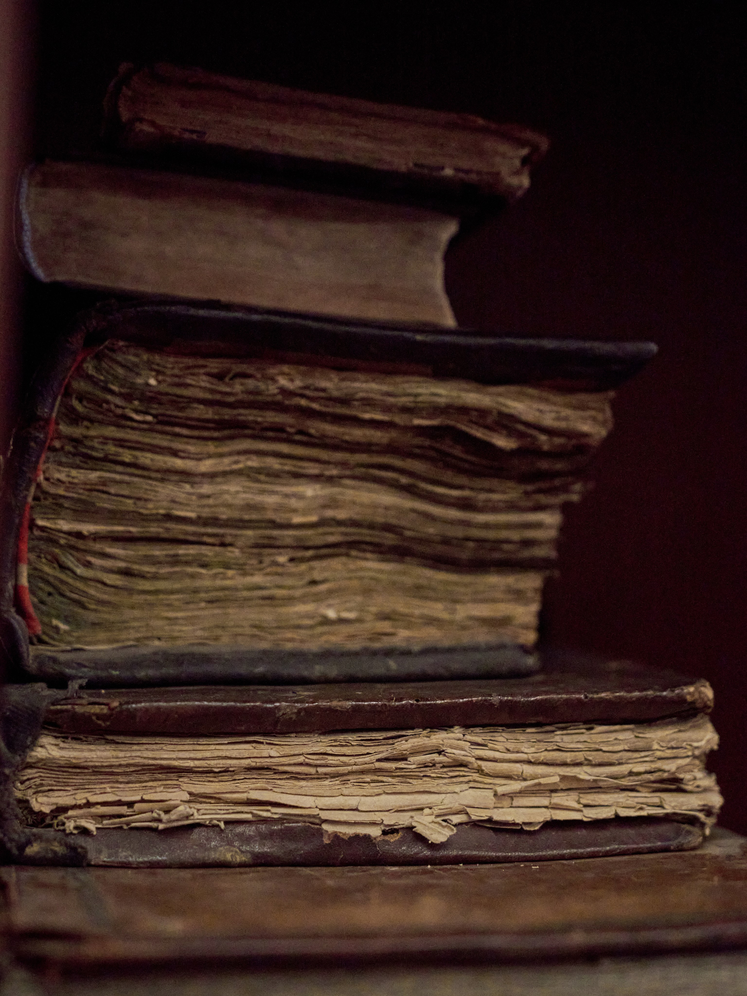 Отец Клеоник и другие. Фотограф в Москве