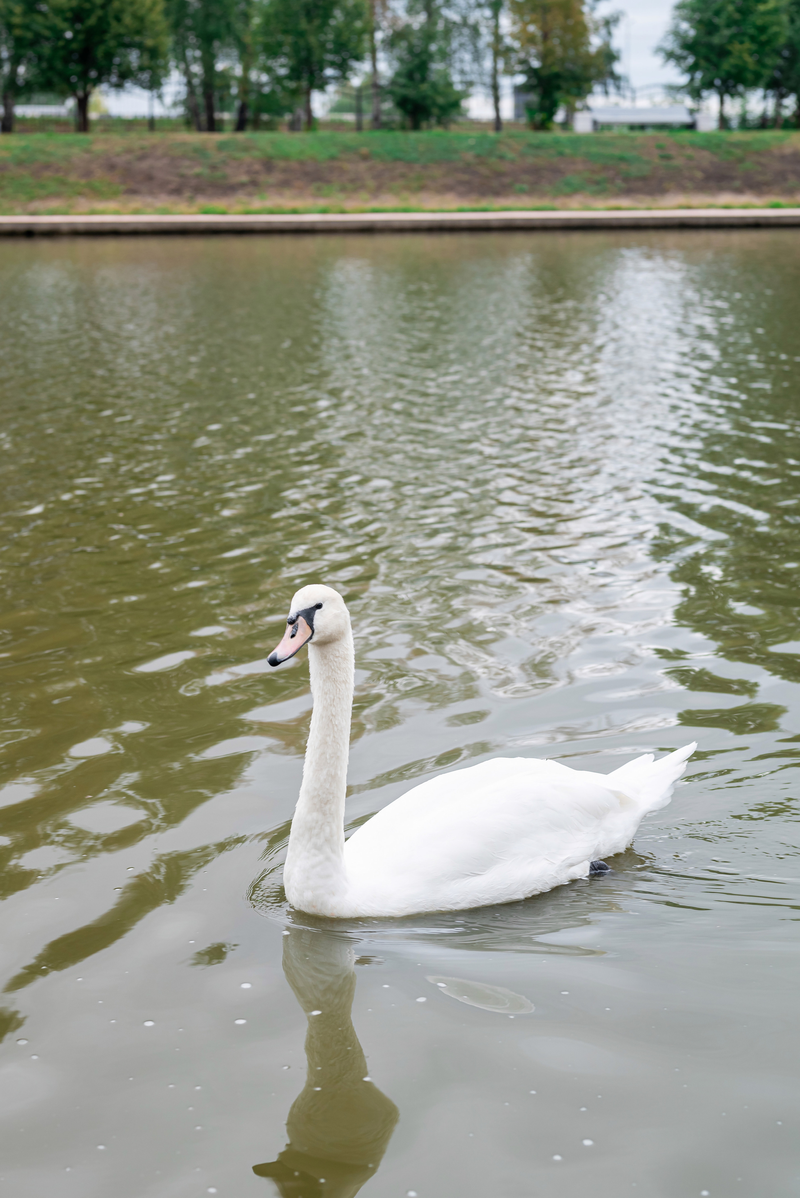 Евгений и Анастасия. Фотограф в городе Салават