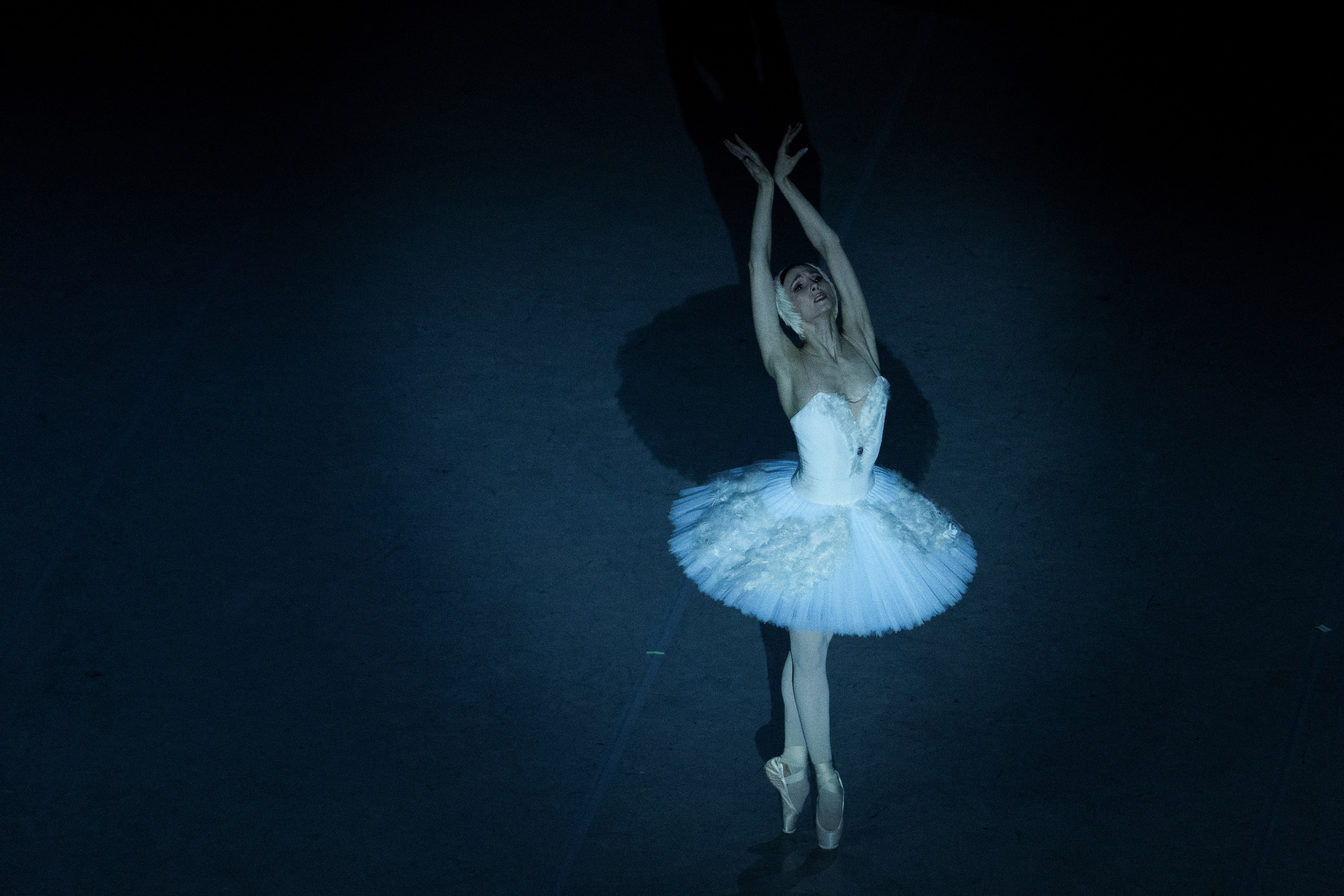 Форум объединенных культур Главный штаб, БДТ, Гранд Европа. Андрей Сухинин репортажный свадебный фотограф Санкт-Петербург