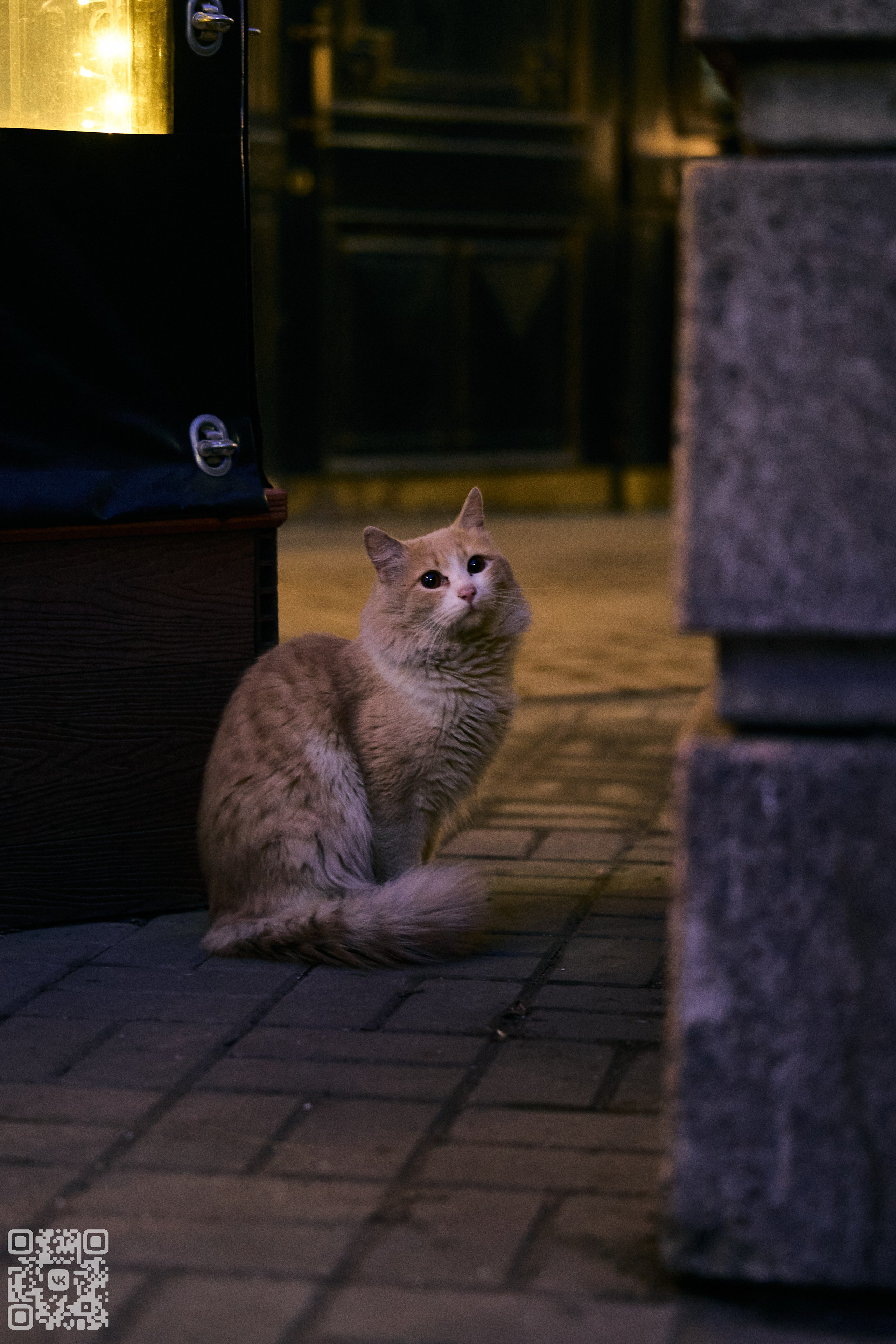 Фотография глазами меня. Photo by Volanchiek