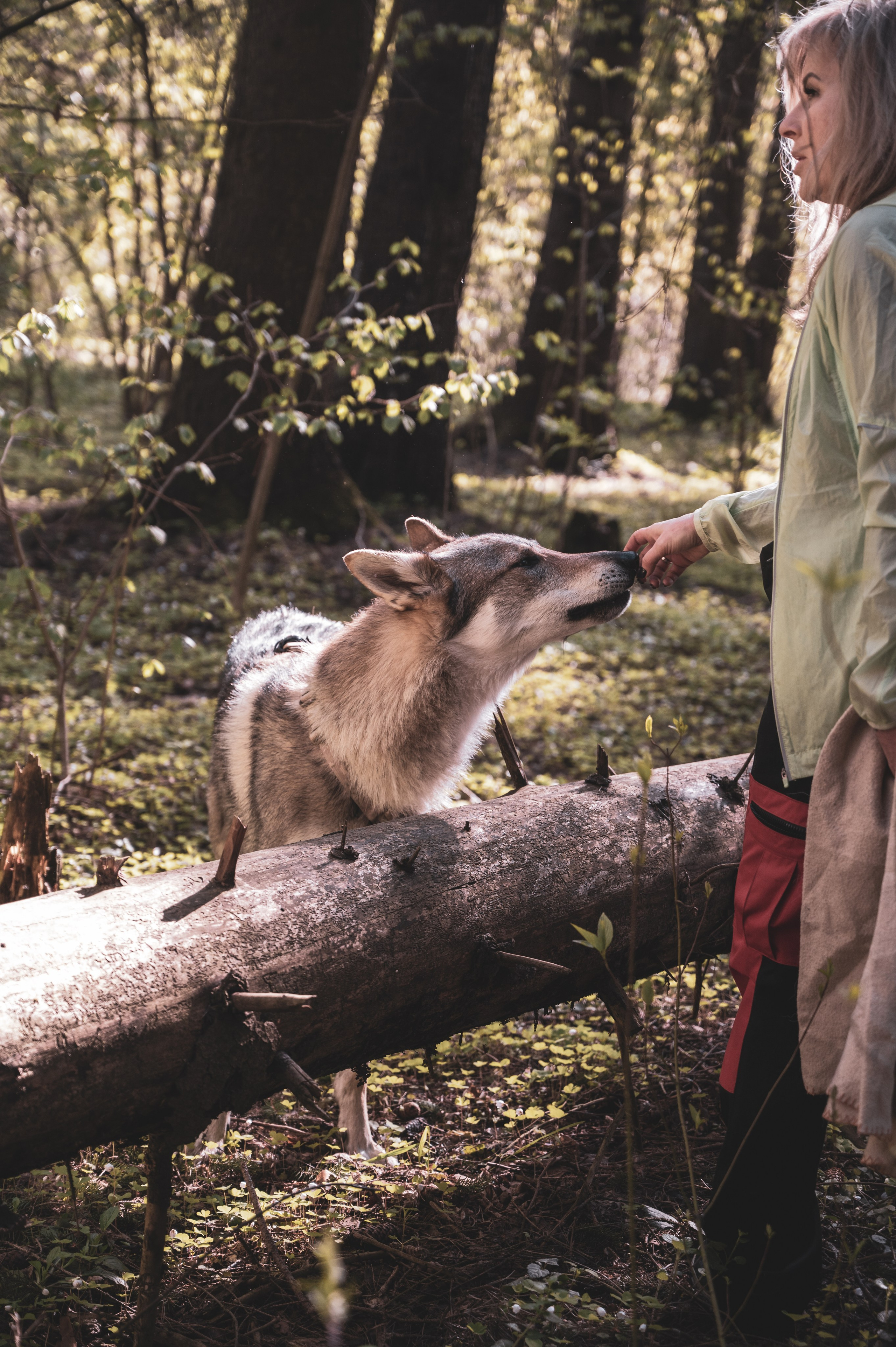 Красная Ленточка. Фотограф Мария