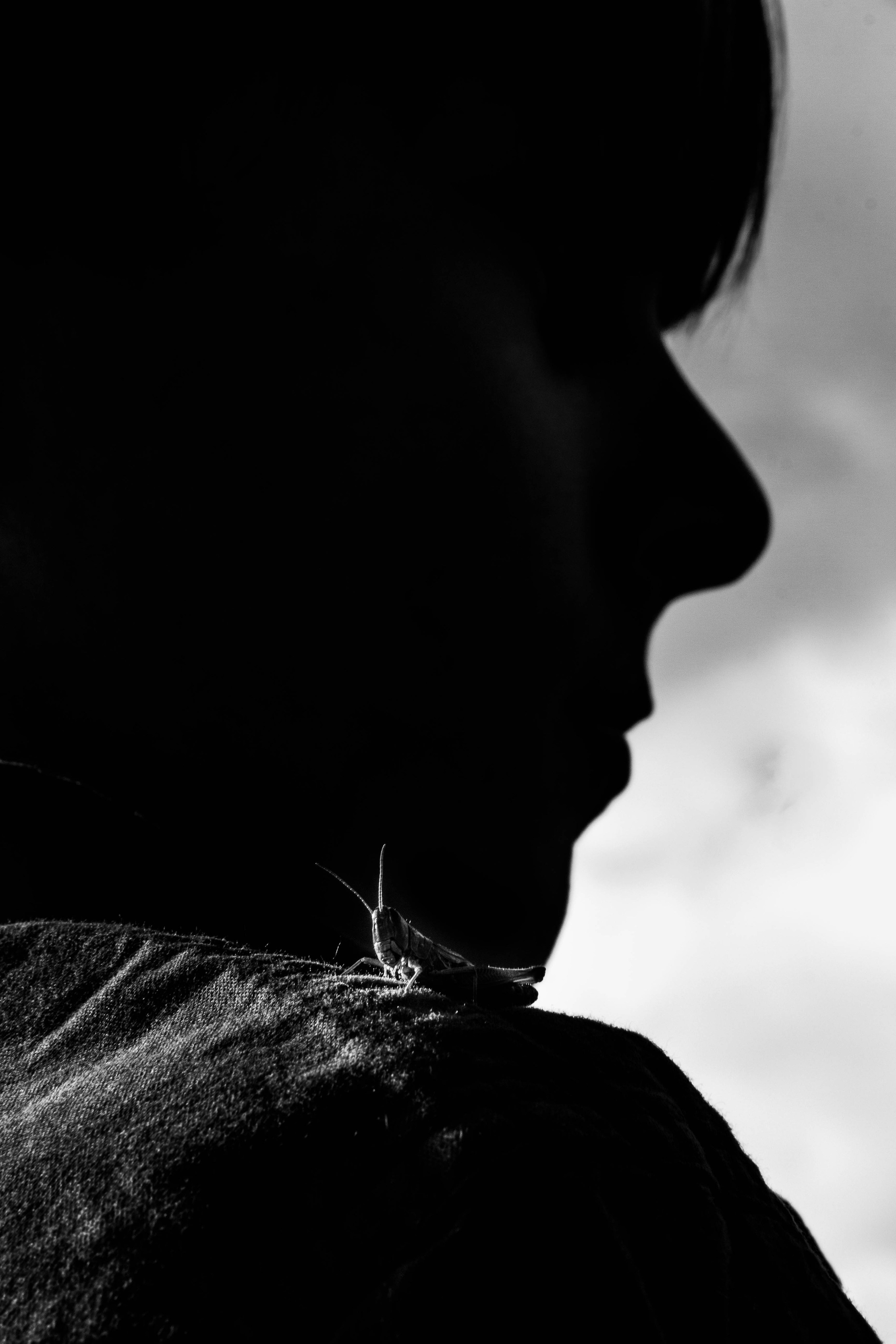 Курс «БОЛЬШОЙ И ГРОМКИЙ!». Университет по фотографии Игоря Мальцева