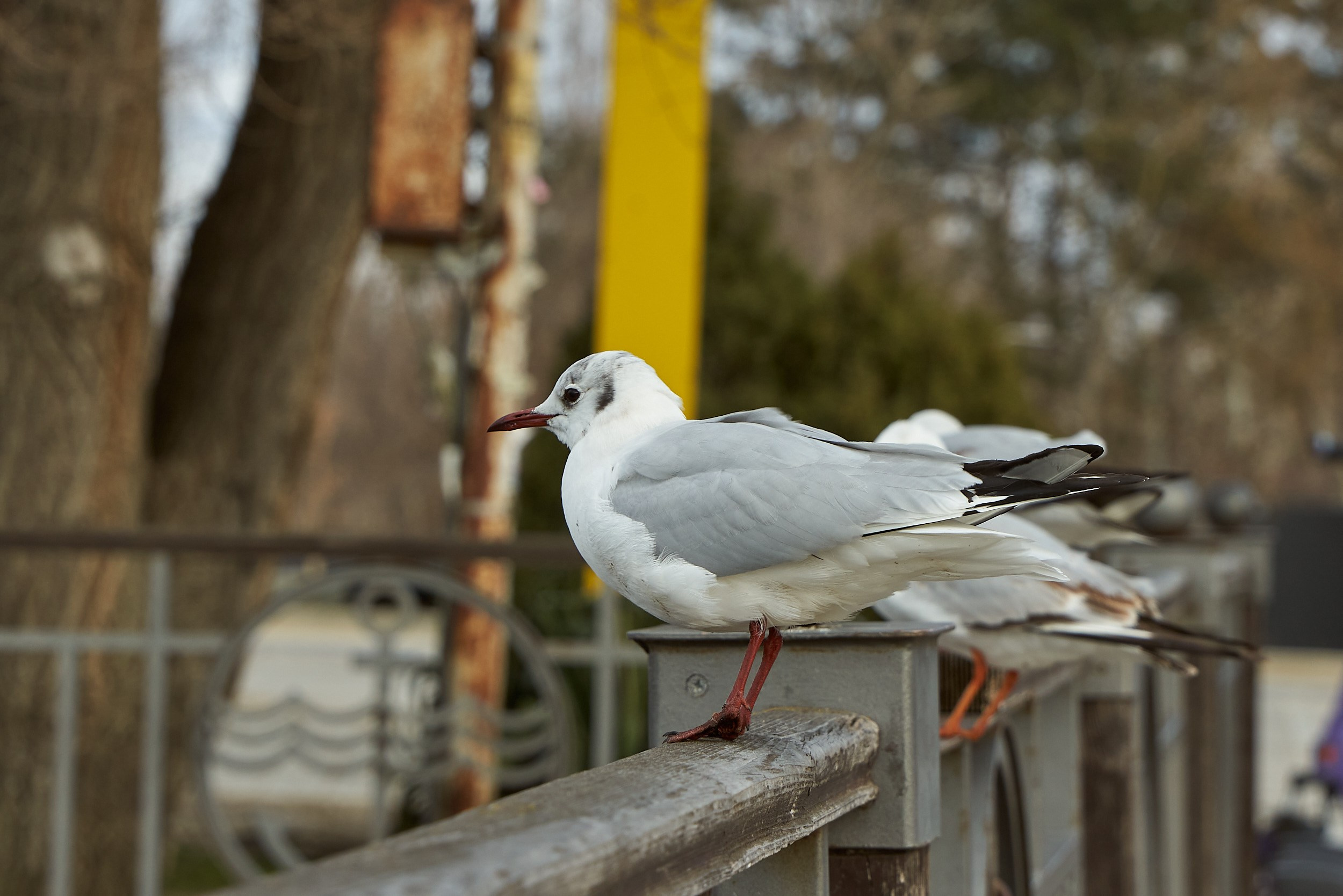 Фотографии улиц и пляжей Анапы. Профессиональный фотограф в Анапе Артем Ковальский