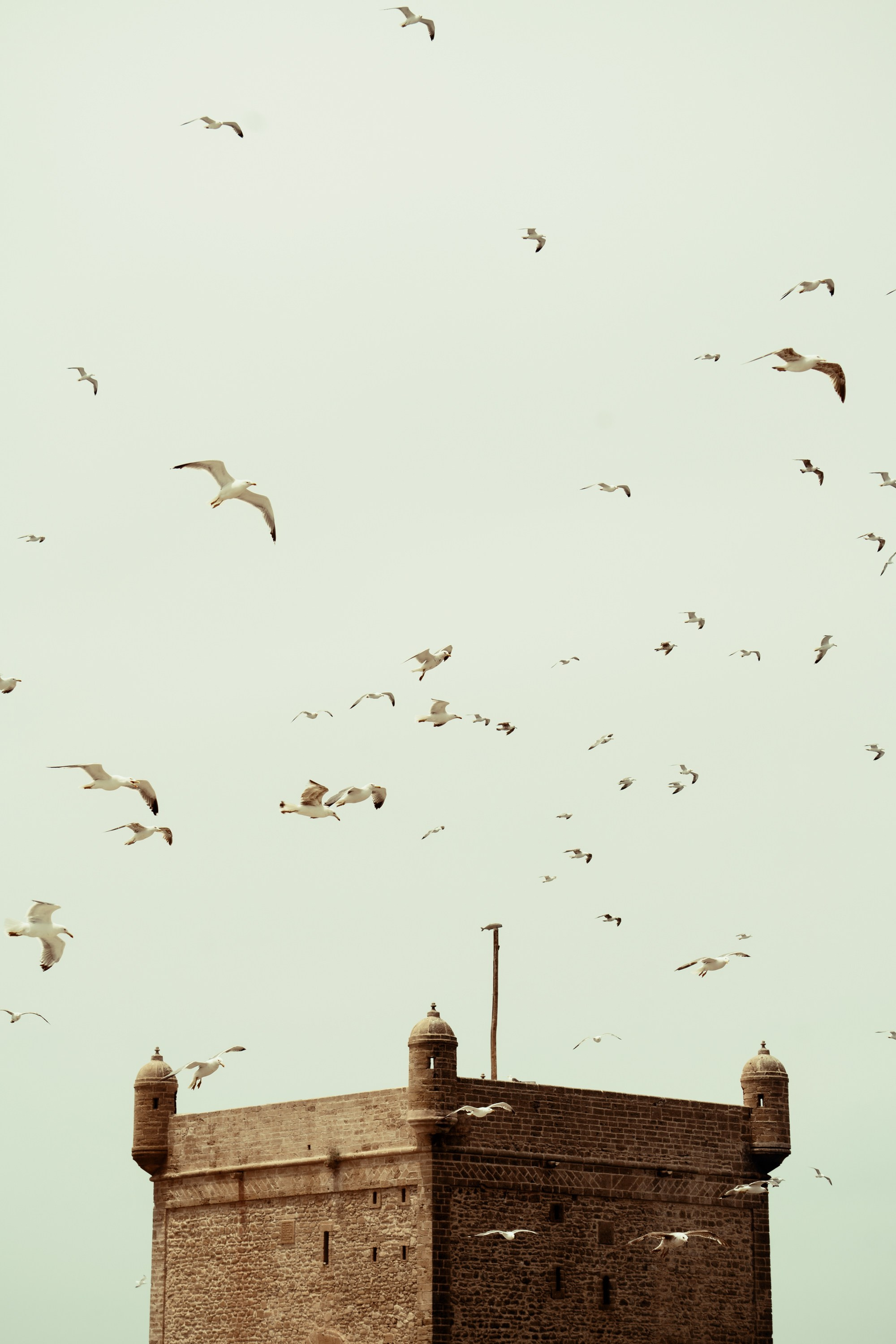 Путешествия. Фотограф в Хабаровске. Фотография за 24 часа