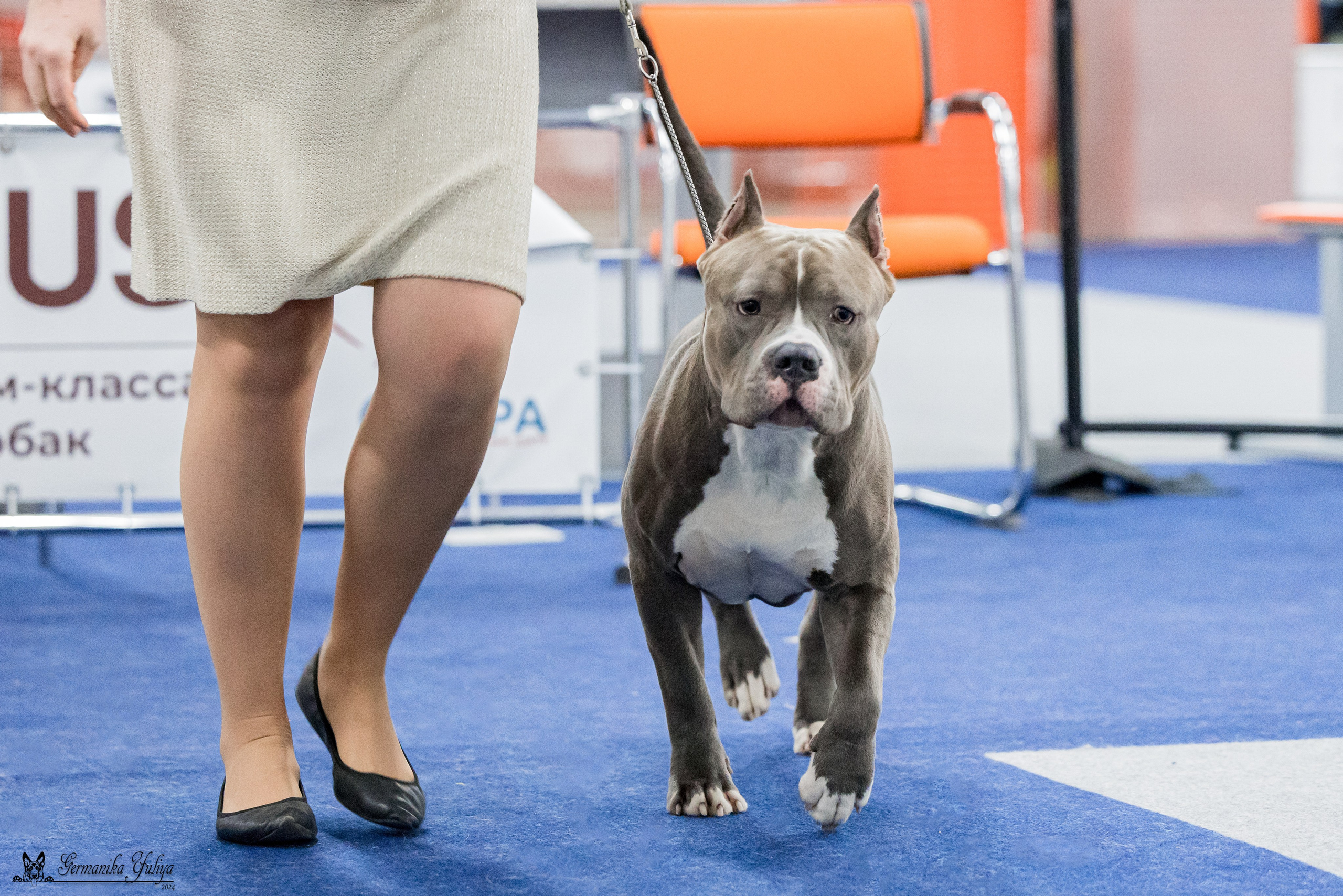 Сфера 28.01. и 4.02.2024. Фотограф-анималист Юлия Германика