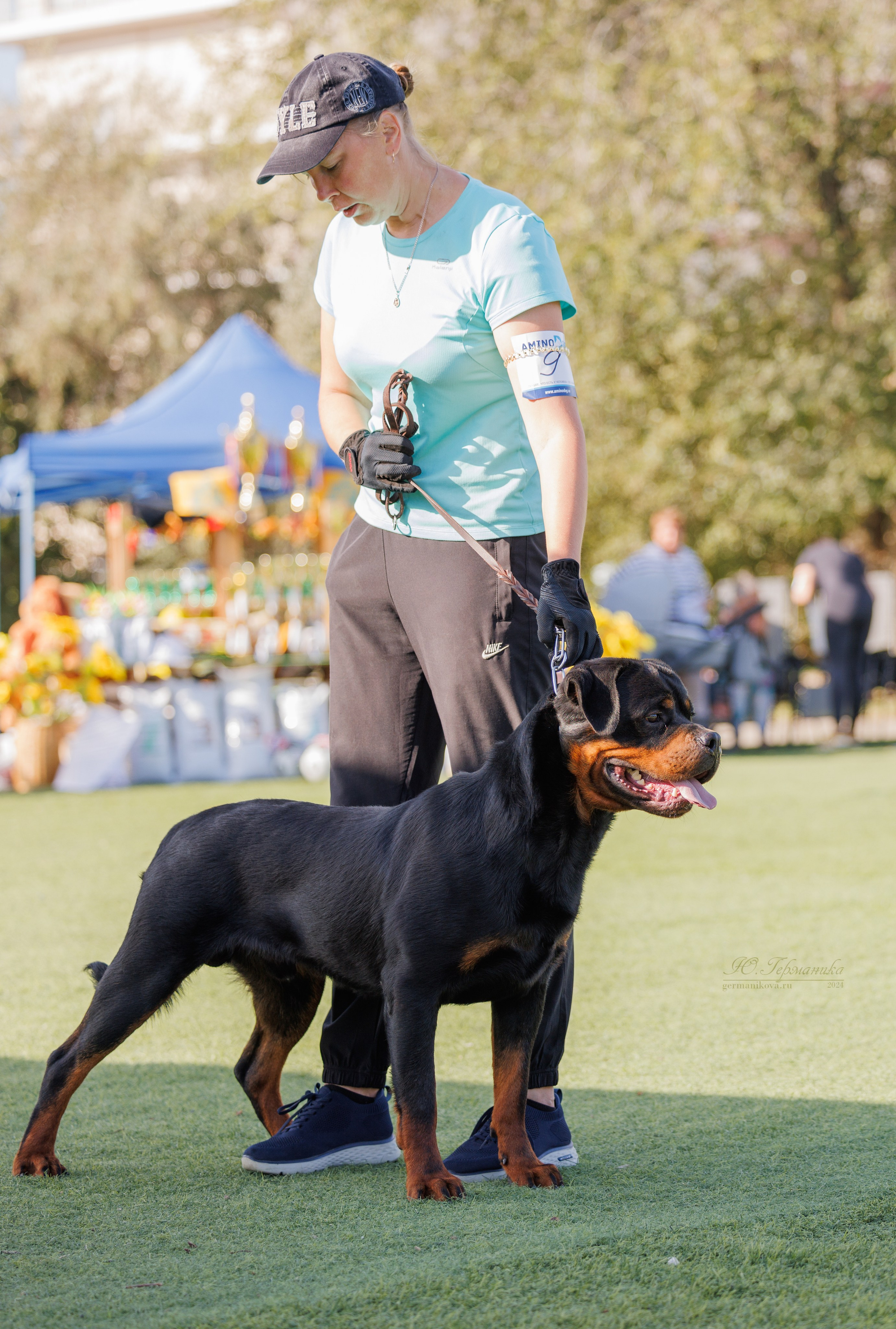 Анапа ротвейлеры 14-15.09.2024. Фотограф-анималист Юлия Германика